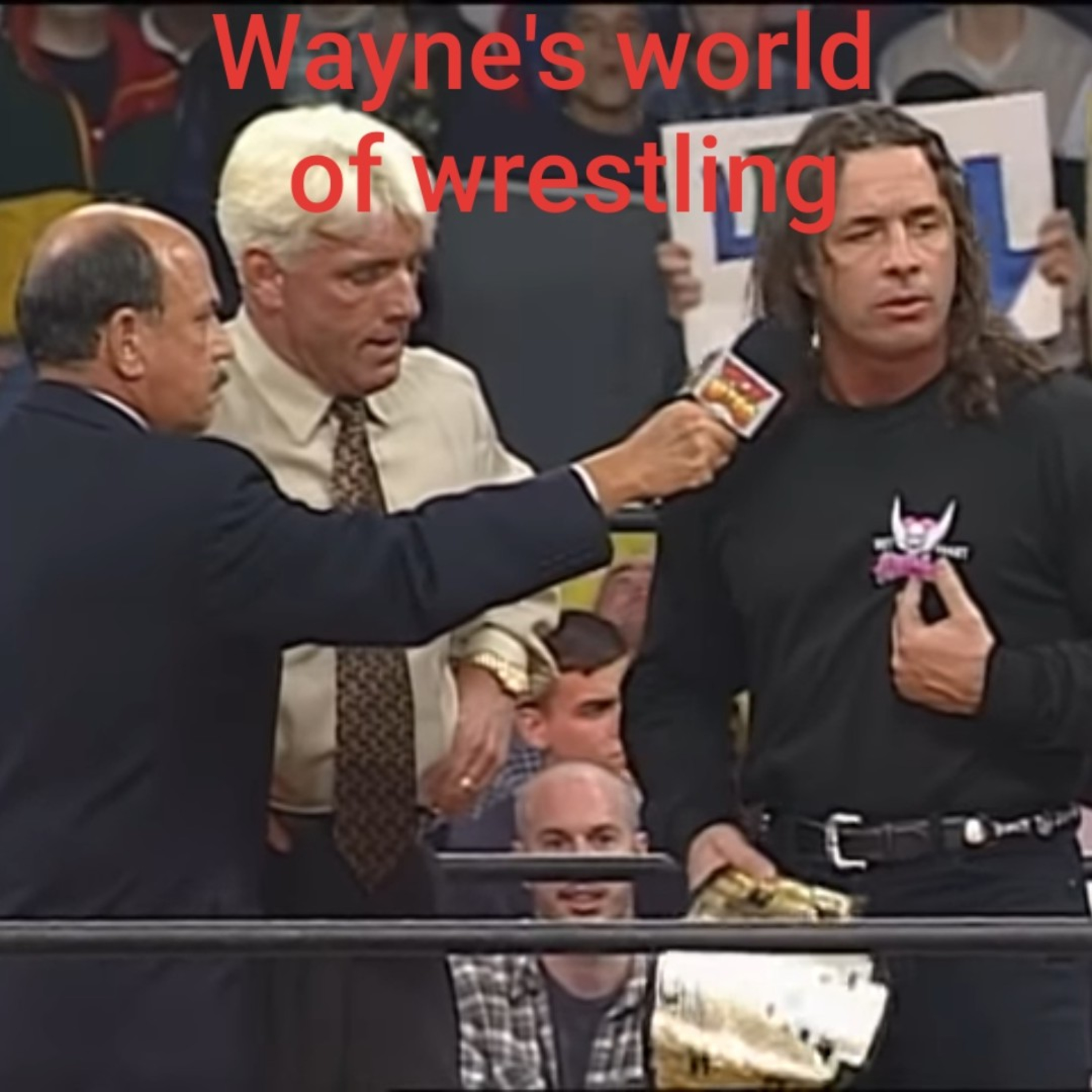 Wayne\'s World Of Wrestling