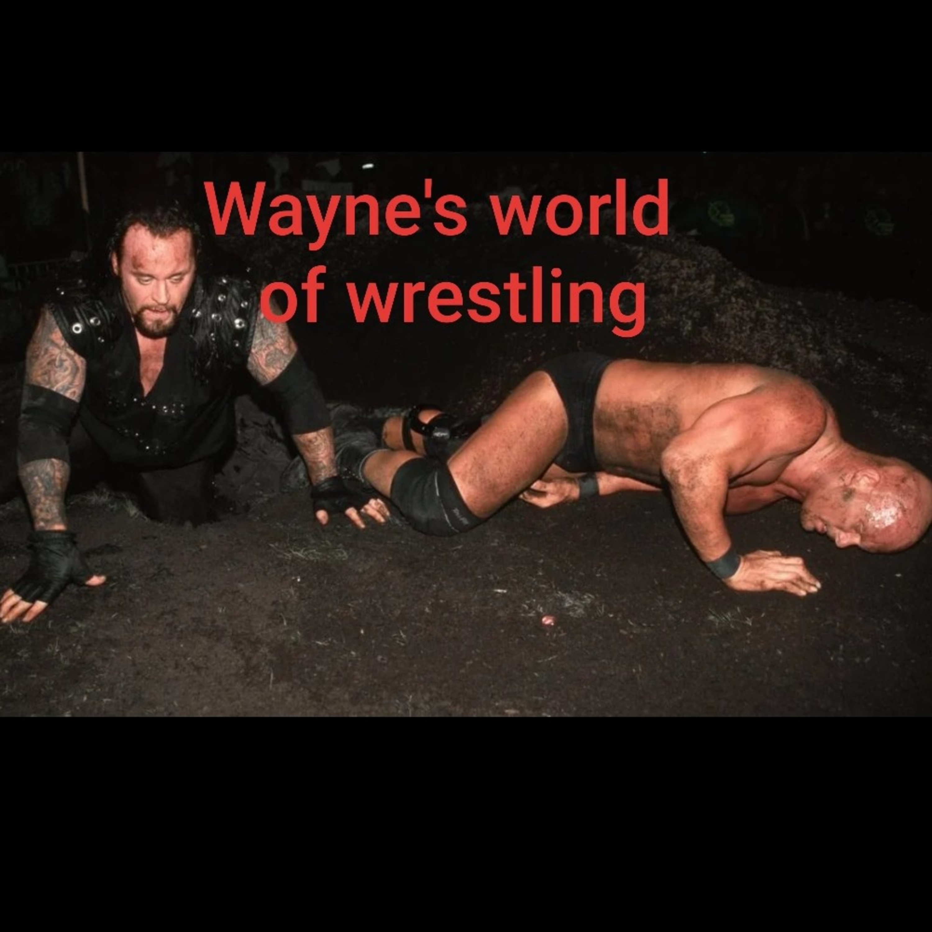 Wayne\'s World Of Wrestling