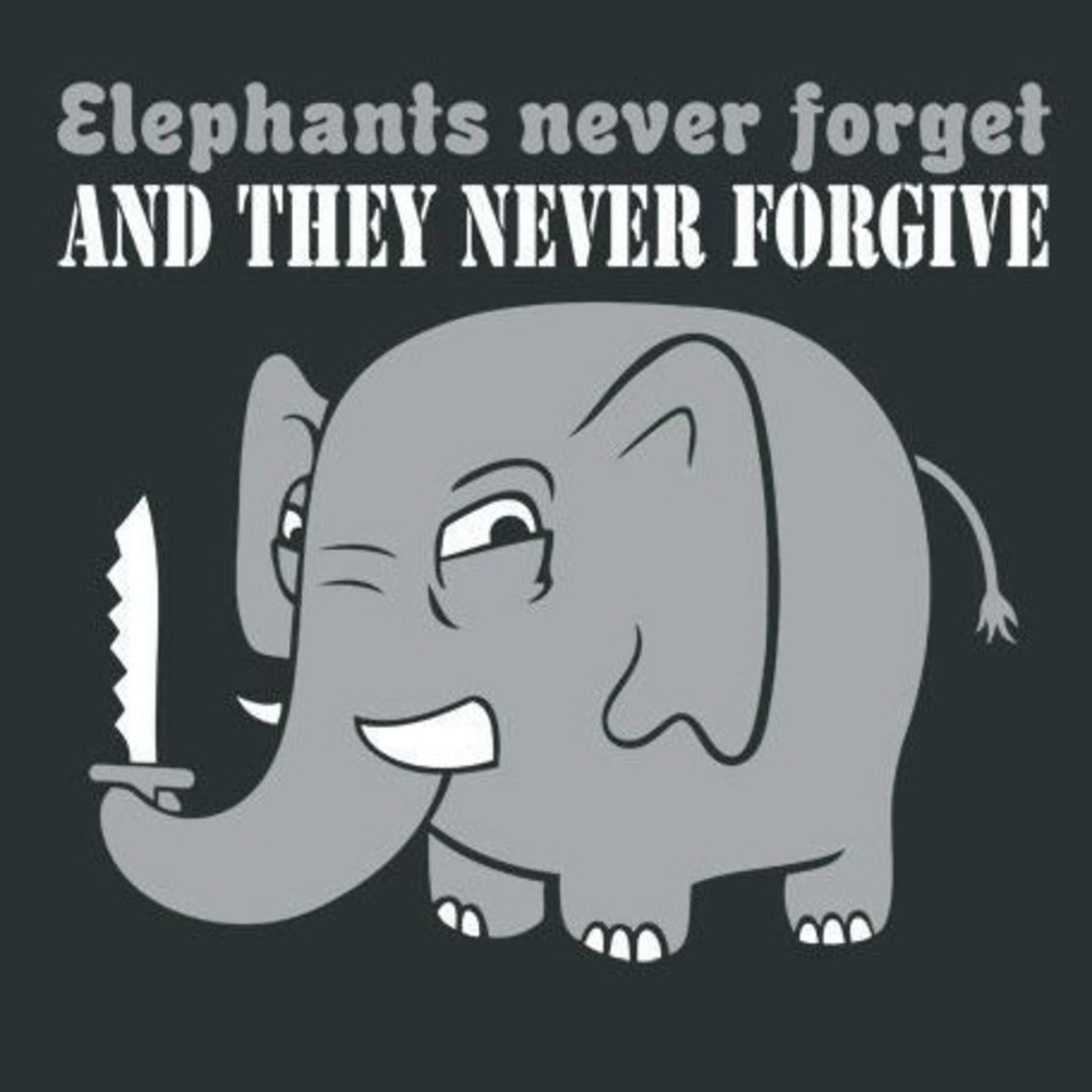 #216 TFTI with Freddy Correa - An Elephant Never Forgets - Sammy Solorio @drummerboyx24  episode artwork