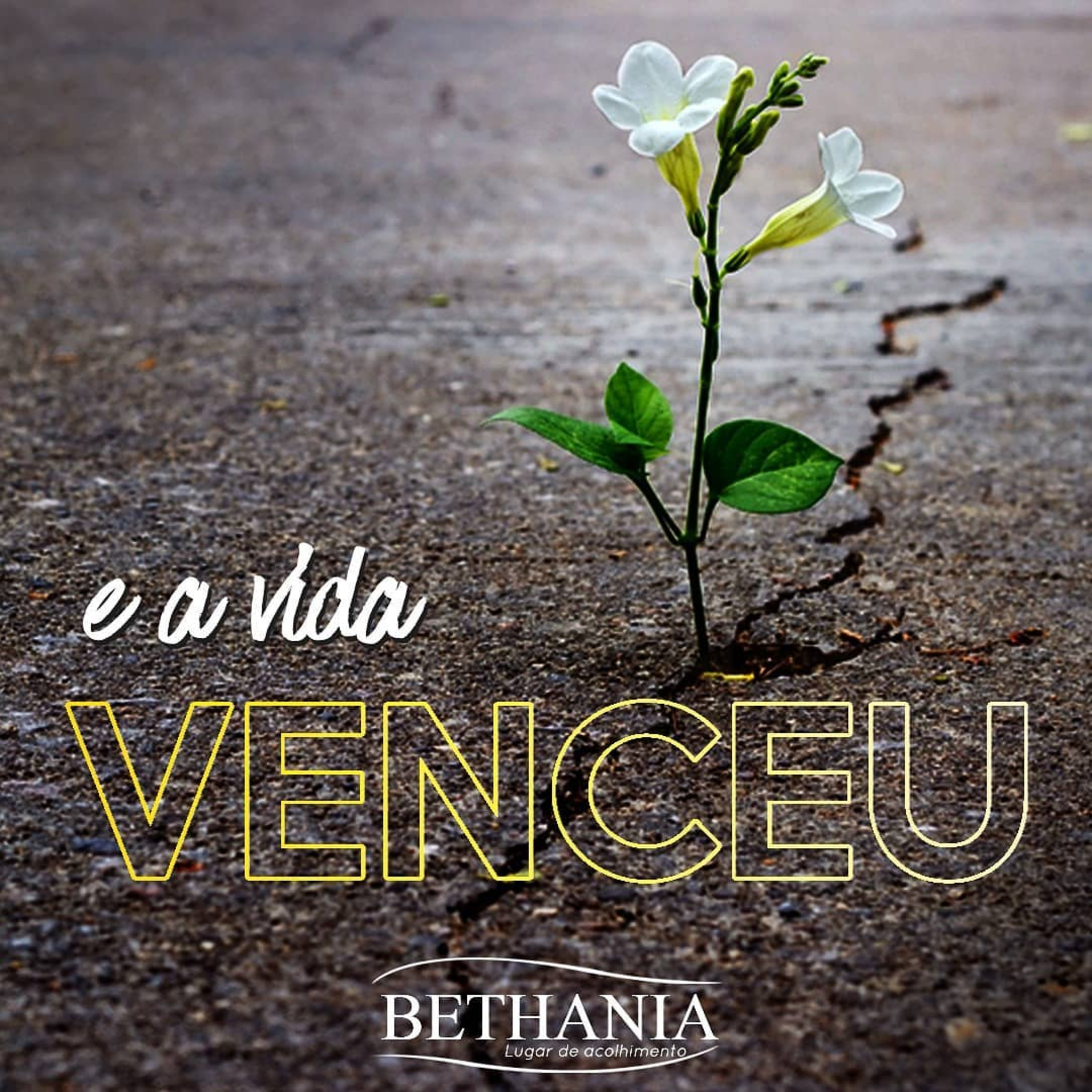 E a vida venceu - José Antônio Pereira - 1 episode artwork