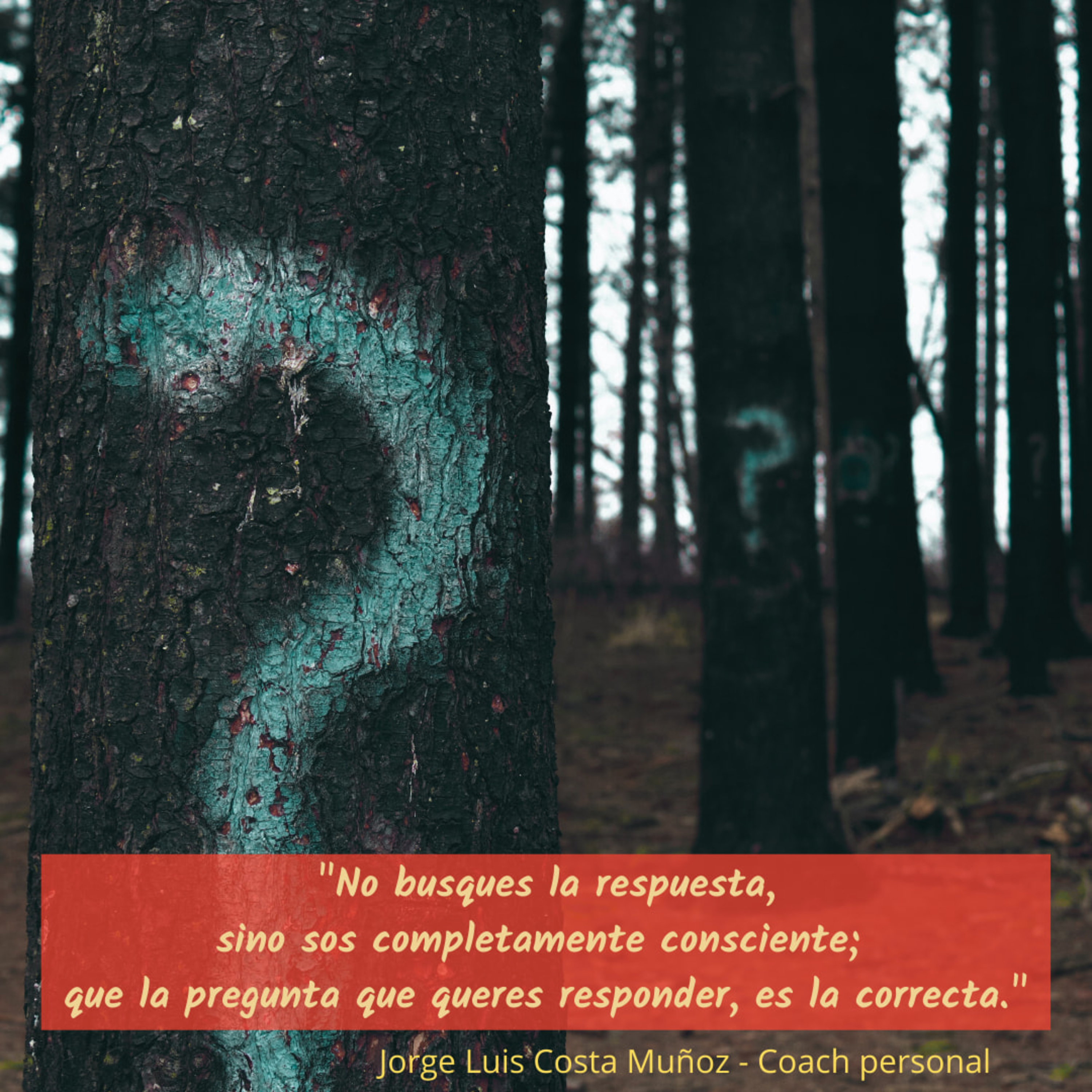 IDENTIFICADOS / LAS PREGUNTAS