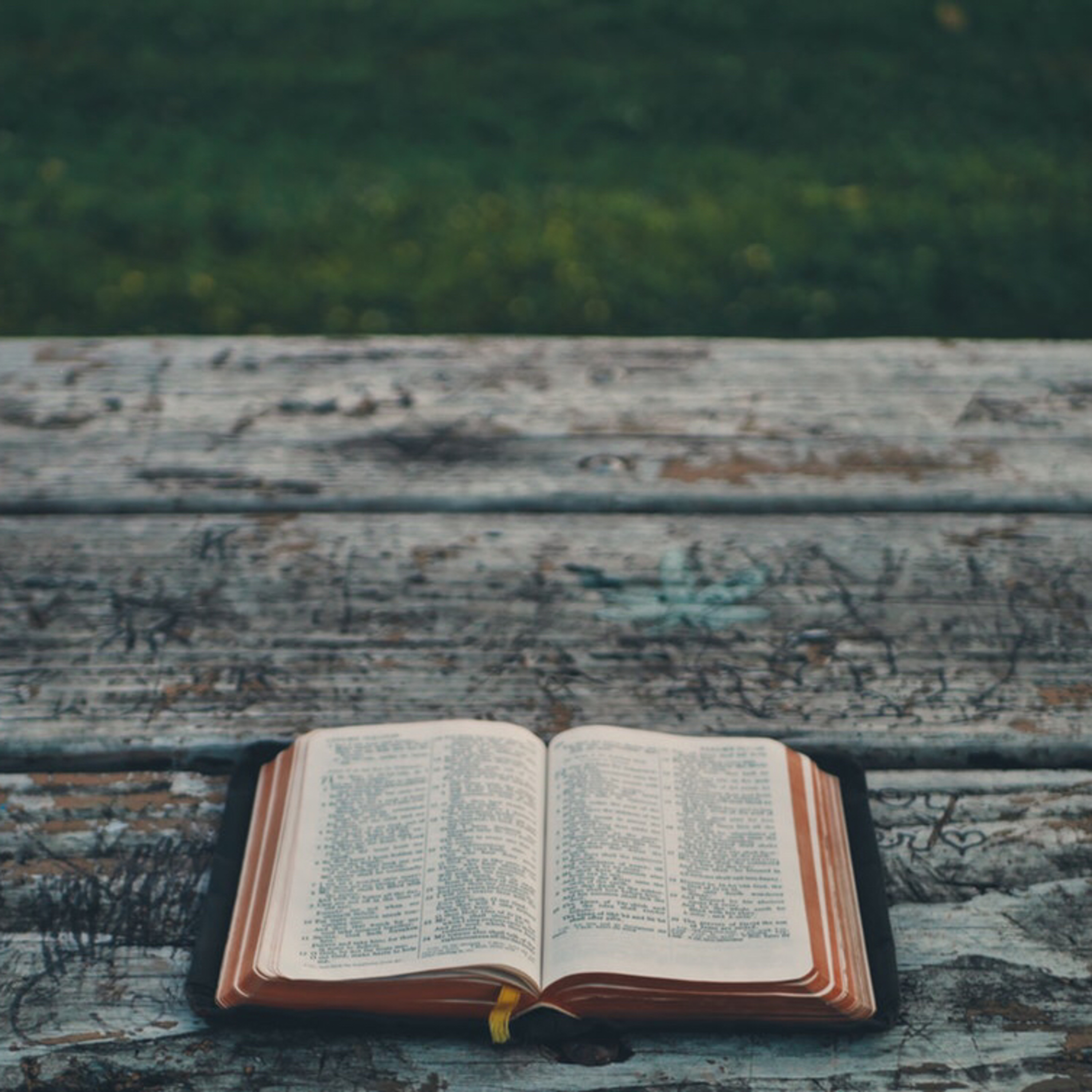 The Importance of Reading God’s Word 📖 episode artwork