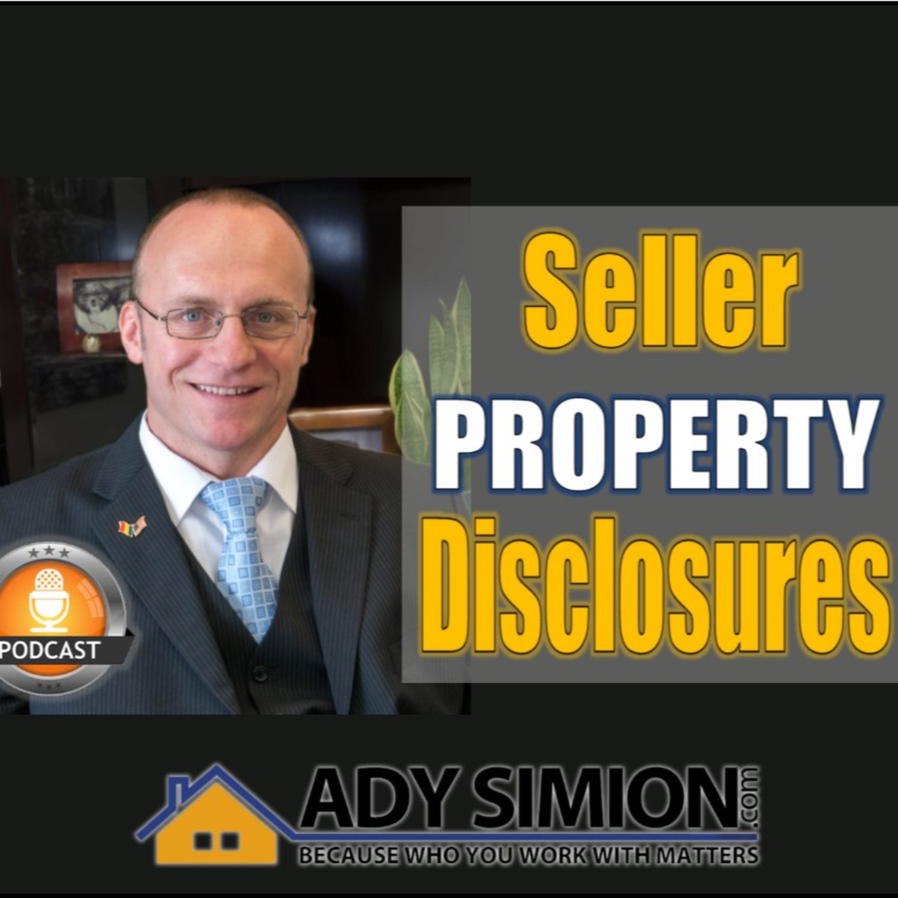 Episode 25 - Seller Property Disclosures episode artwork
