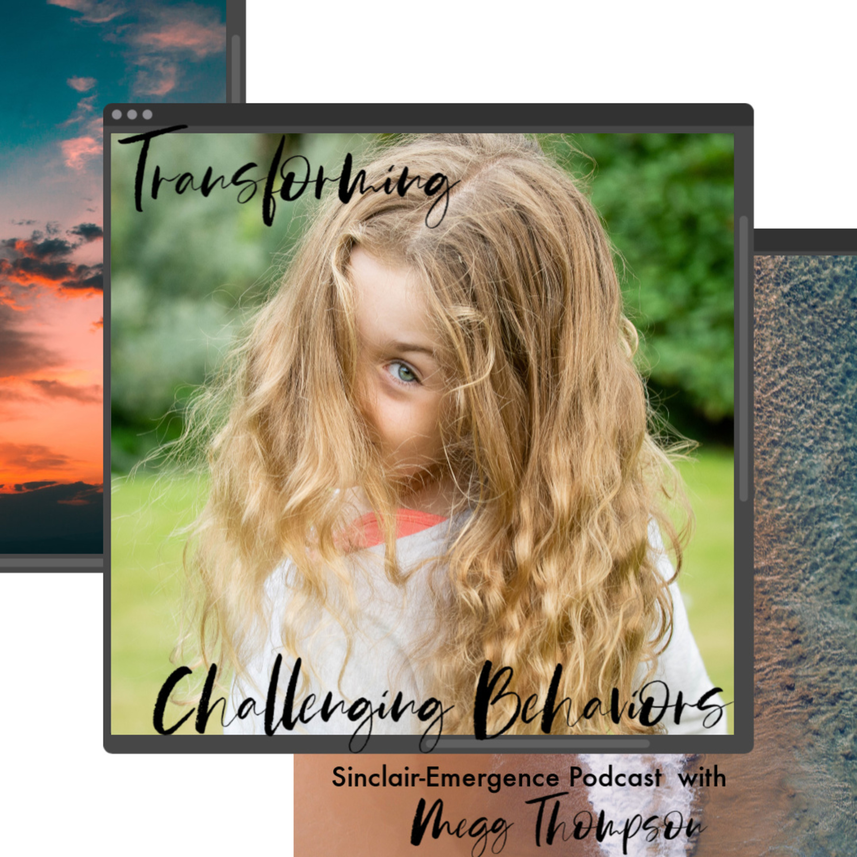 Transforming Challenging Behaviors: An Interview with Megg Thompson, Behavior Consultant and Life Coach episode artwork