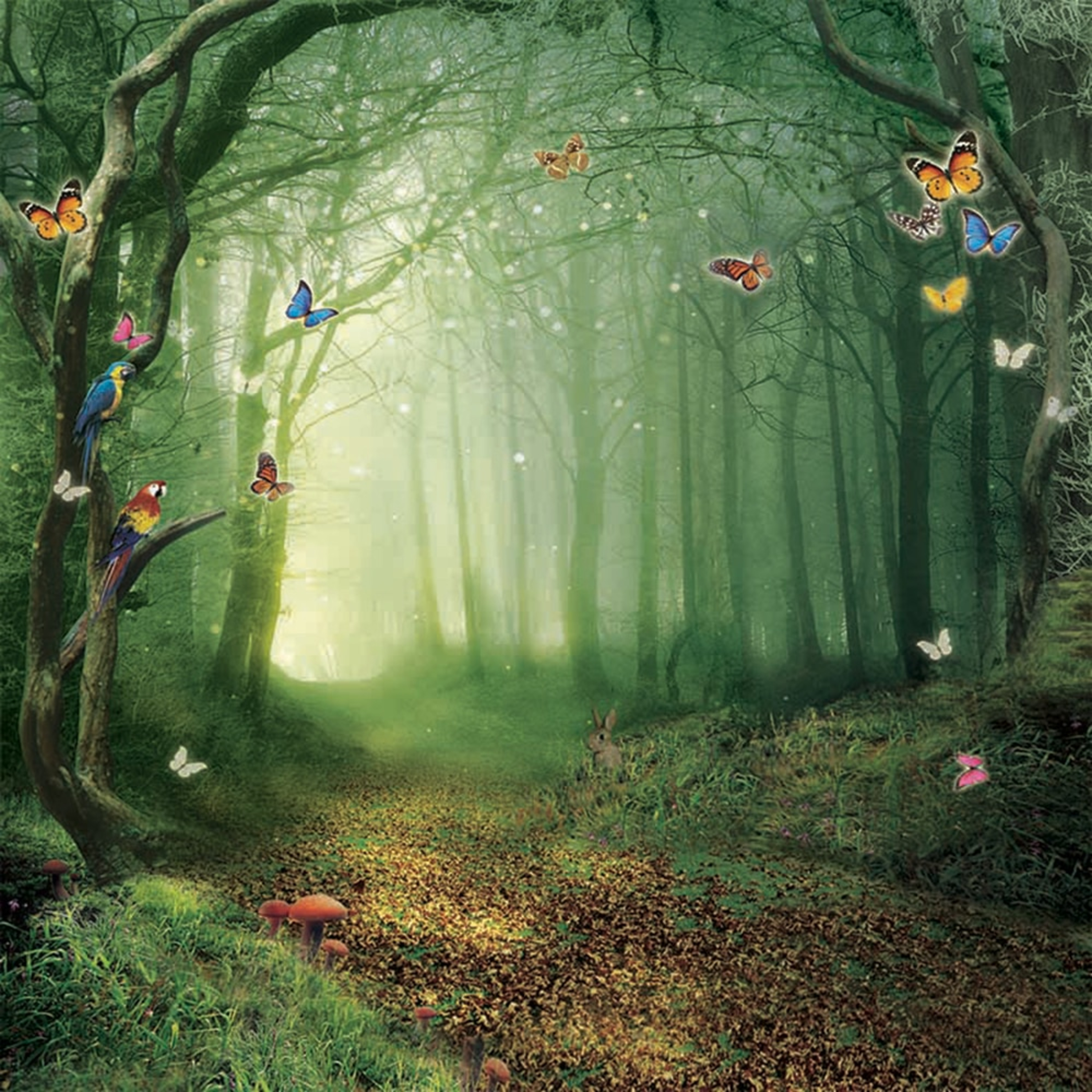 PĂDUREA FERMECATĂ episode artwork