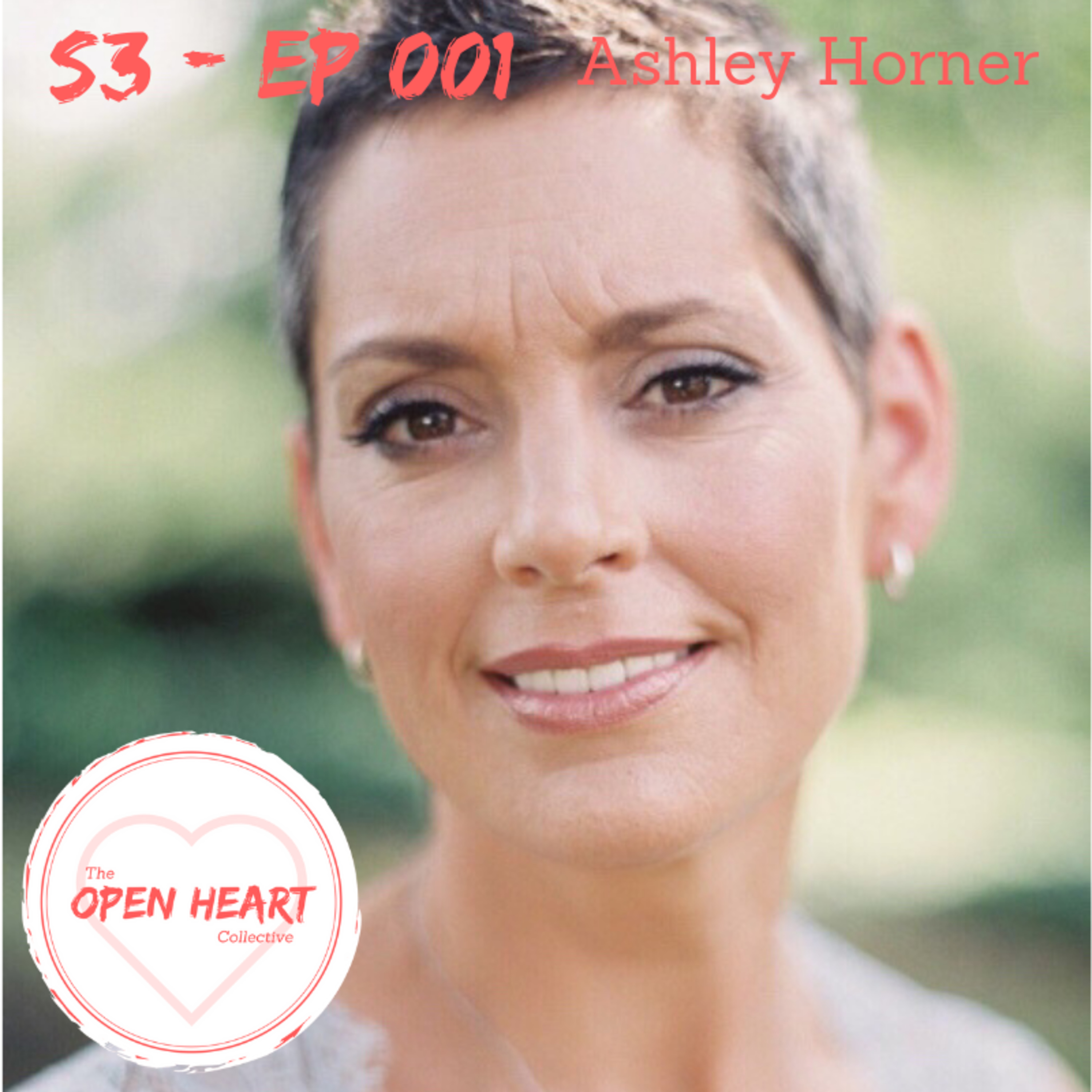 The Open Heart Collective