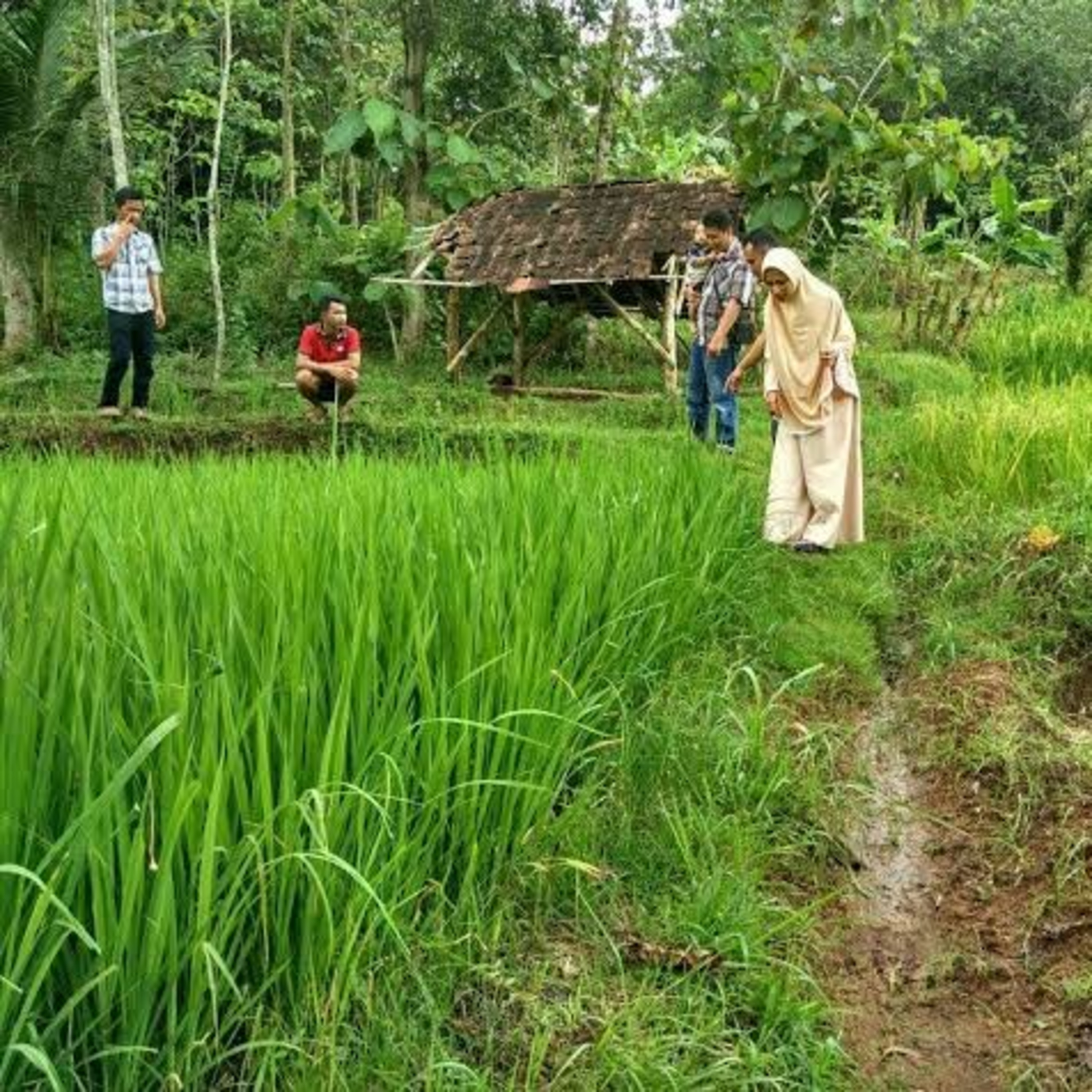 Kenalan dengan Eka Farm