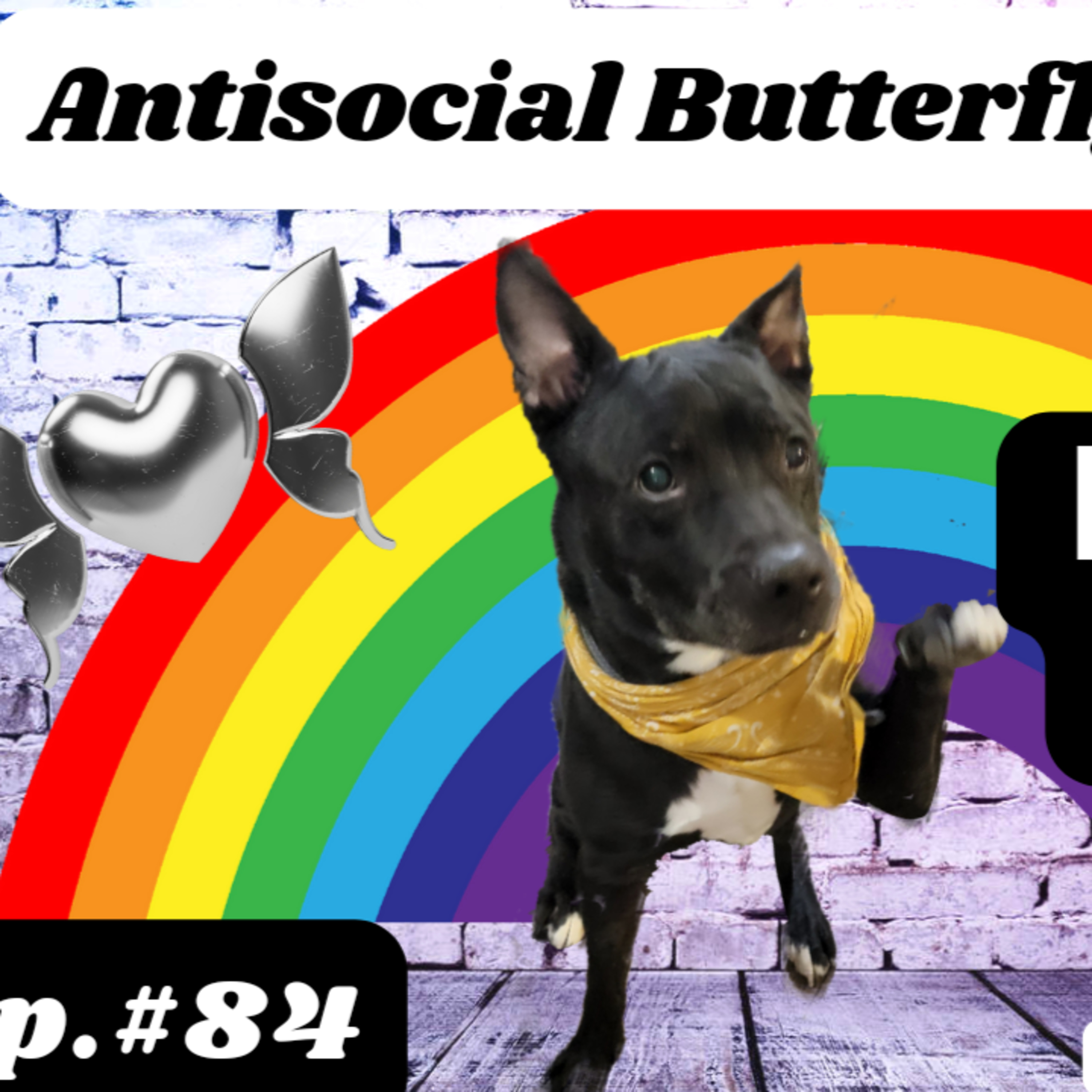 Antisocial Butterfly