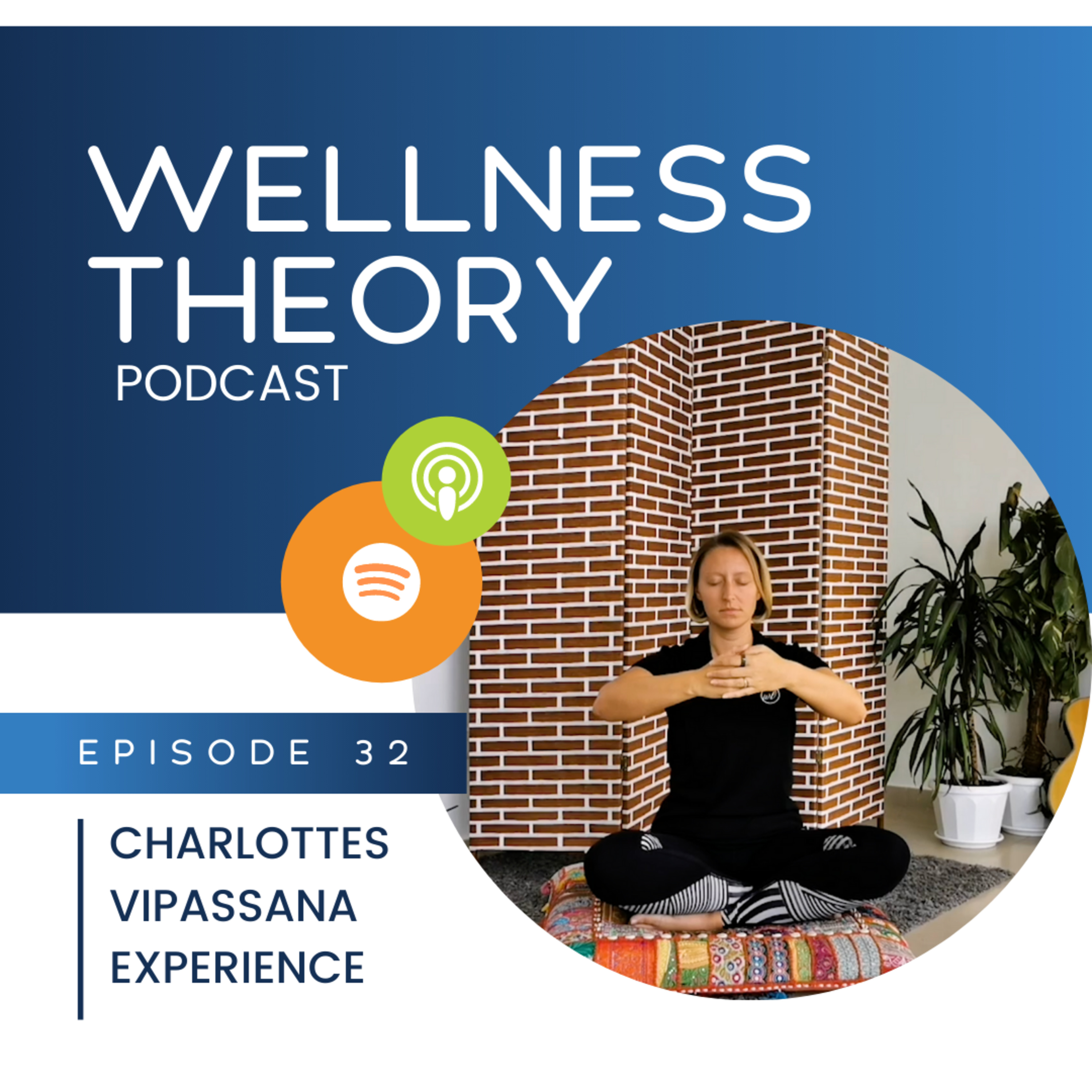 Stress Relief in Your Pocket with The Wellness Theory