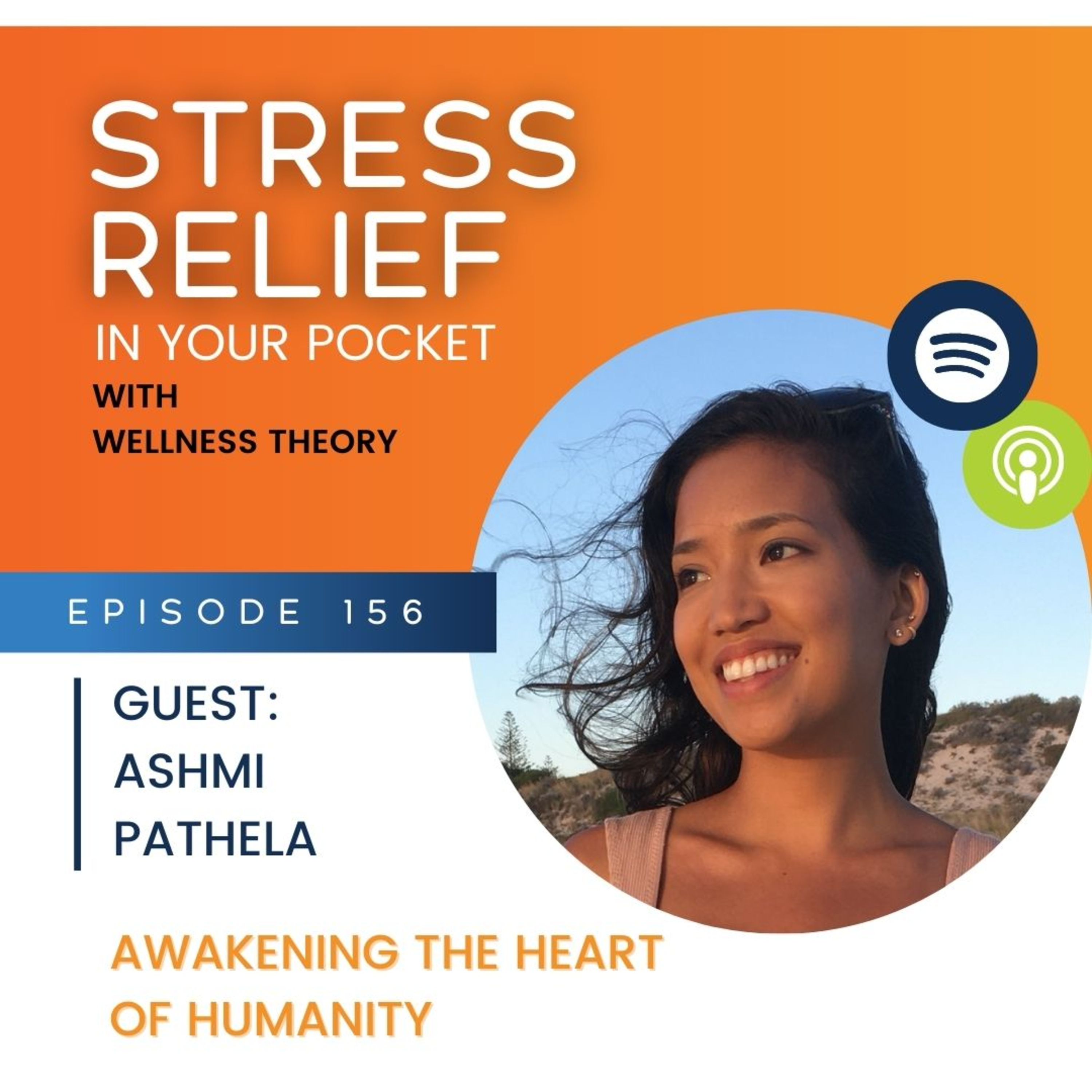 Stress Relief in Your Pocket with The Wellness Theory
