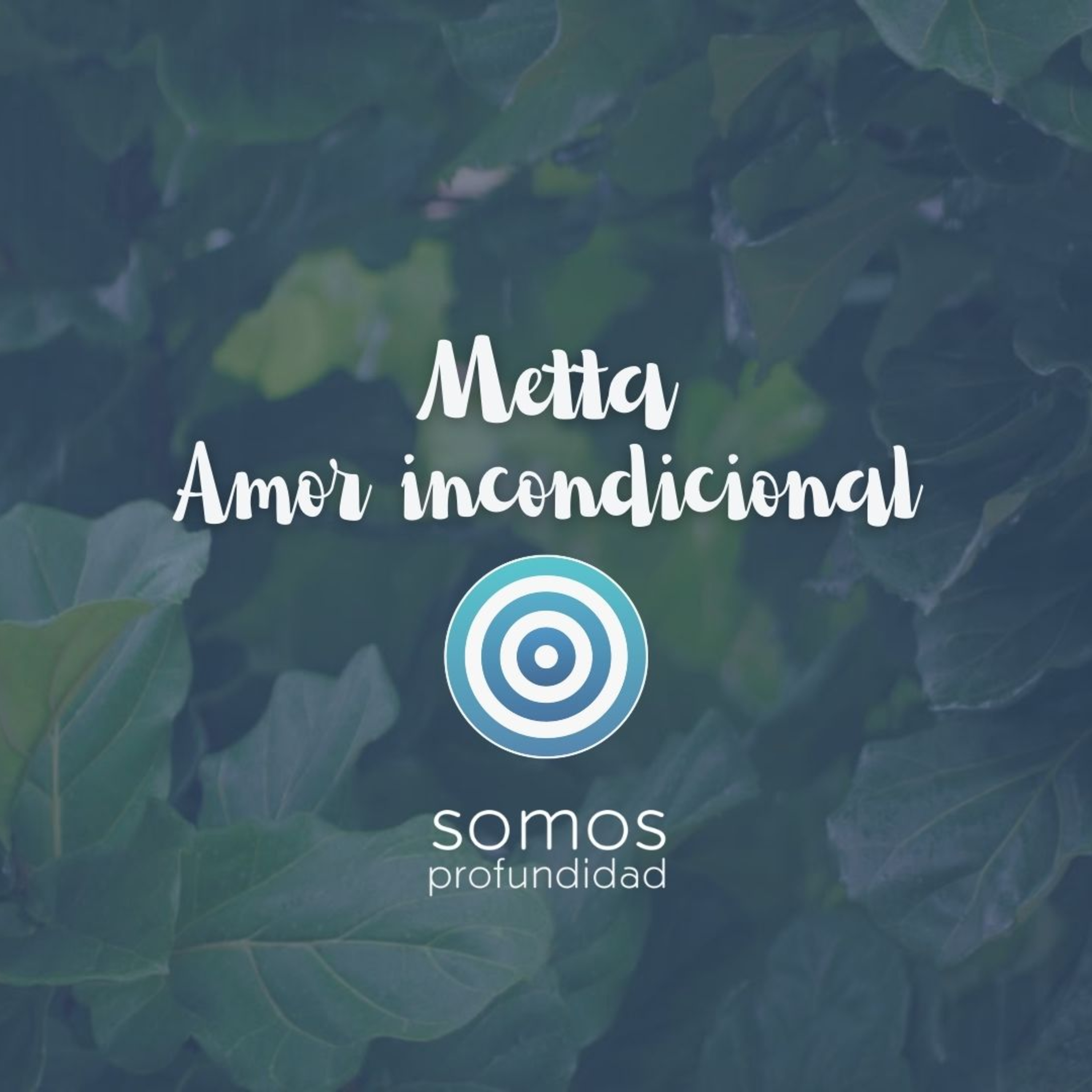 Somos Profundidad
