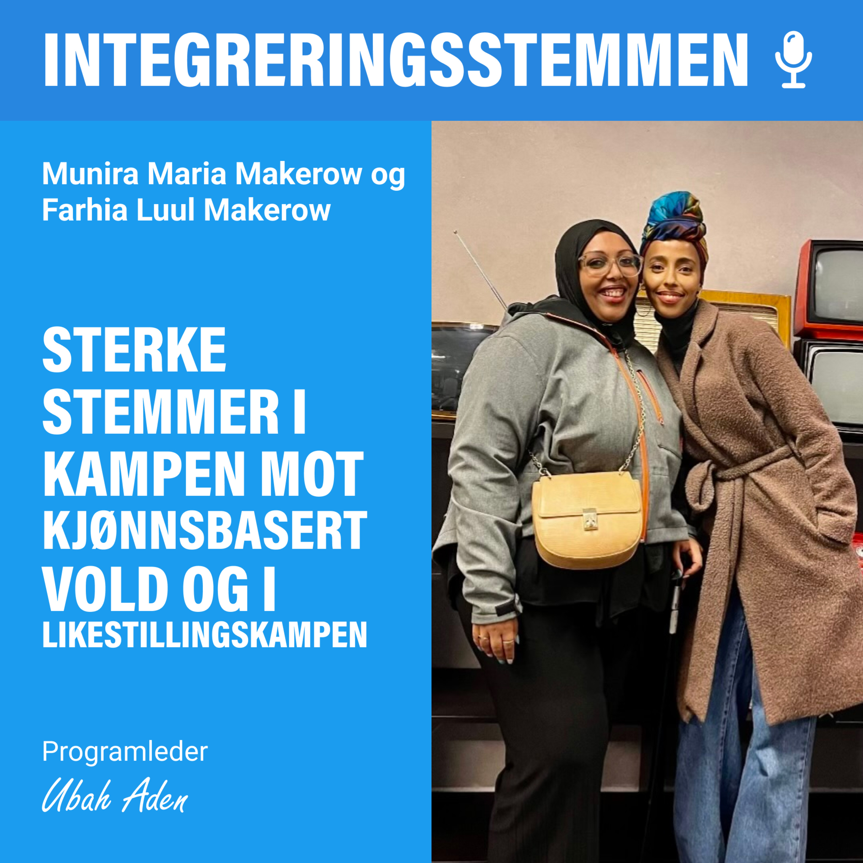 Integreringsstemmen