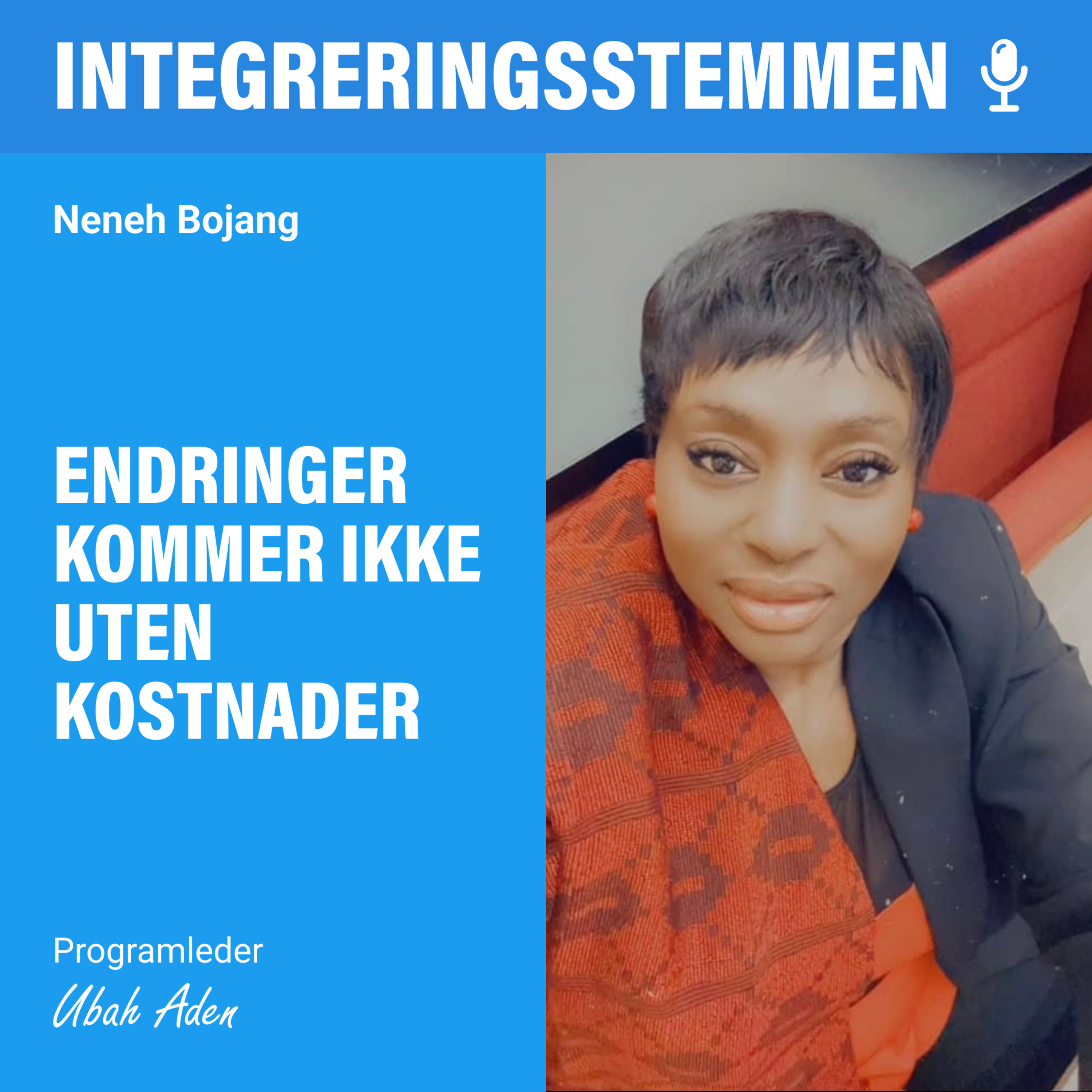 Integreringsstemmen