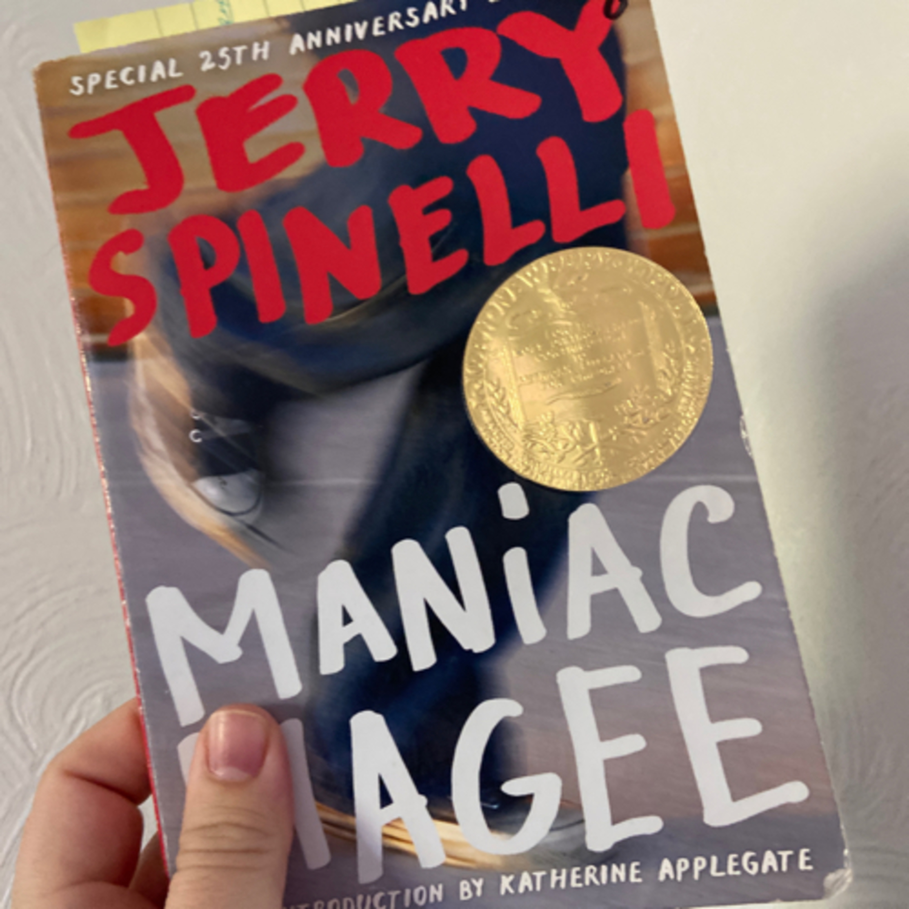 Maniac Magee: Chapters 2-8 episode artwork