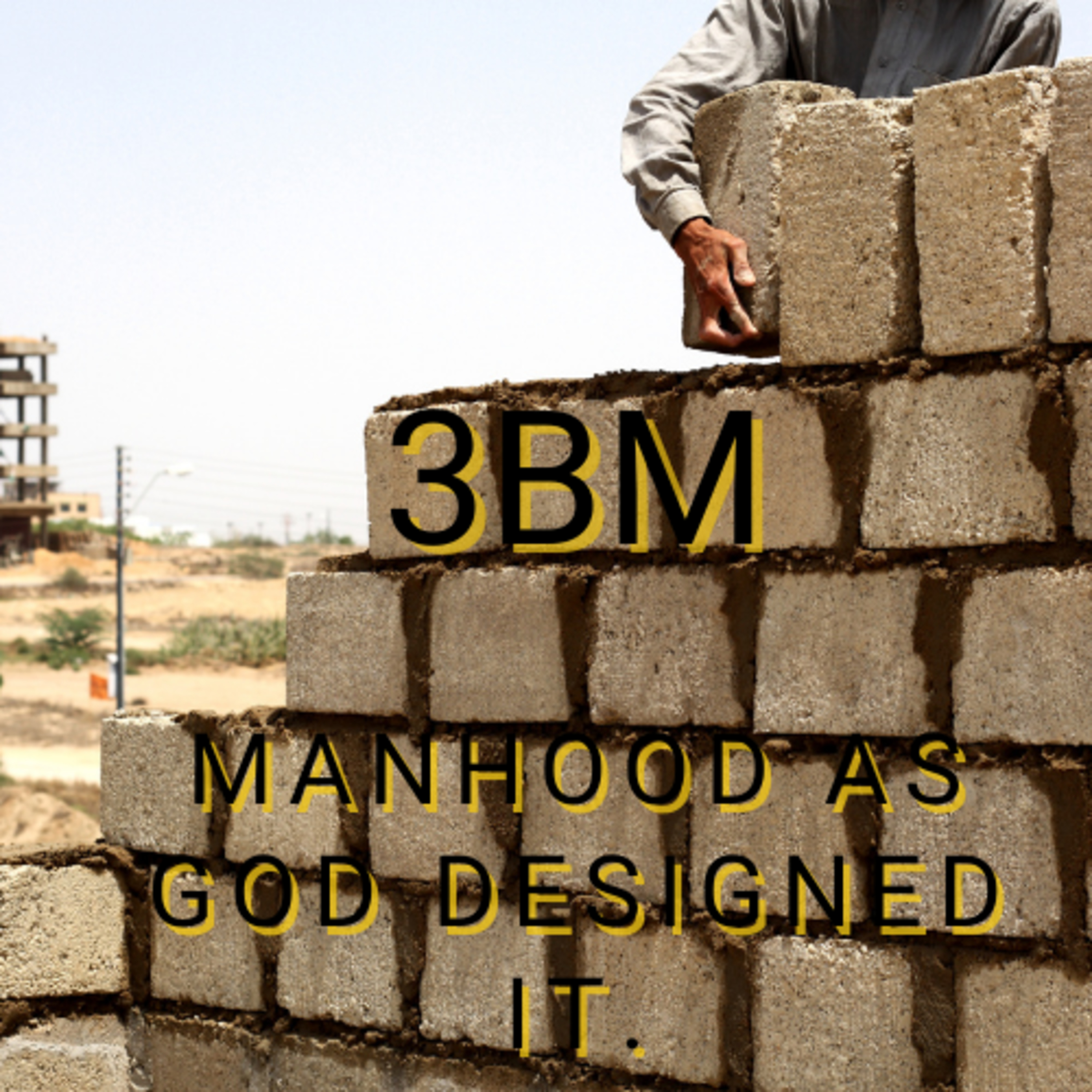 The Building Blocks of Biblical Manhood