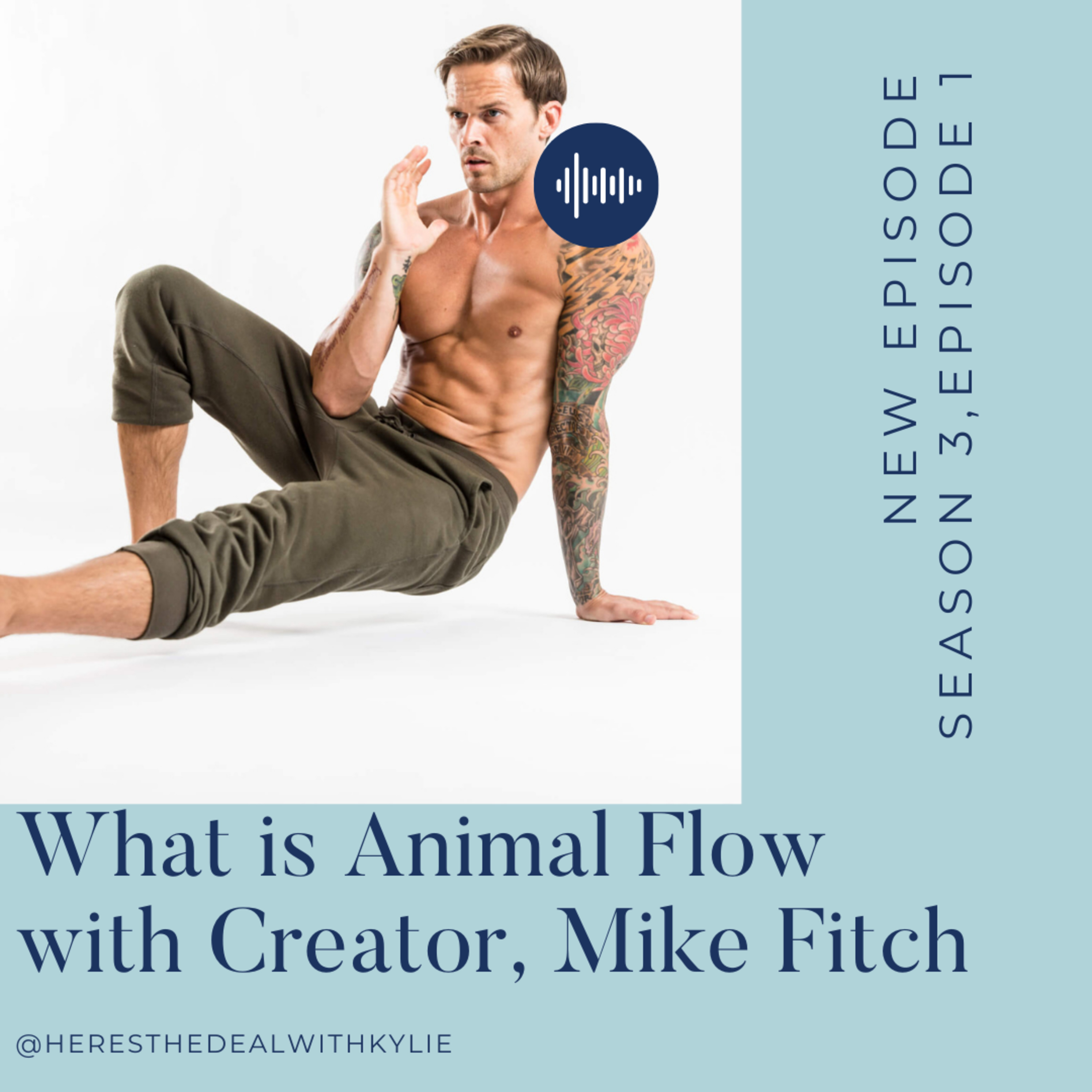 What is Animal Flow with Creator, Mike Fitch