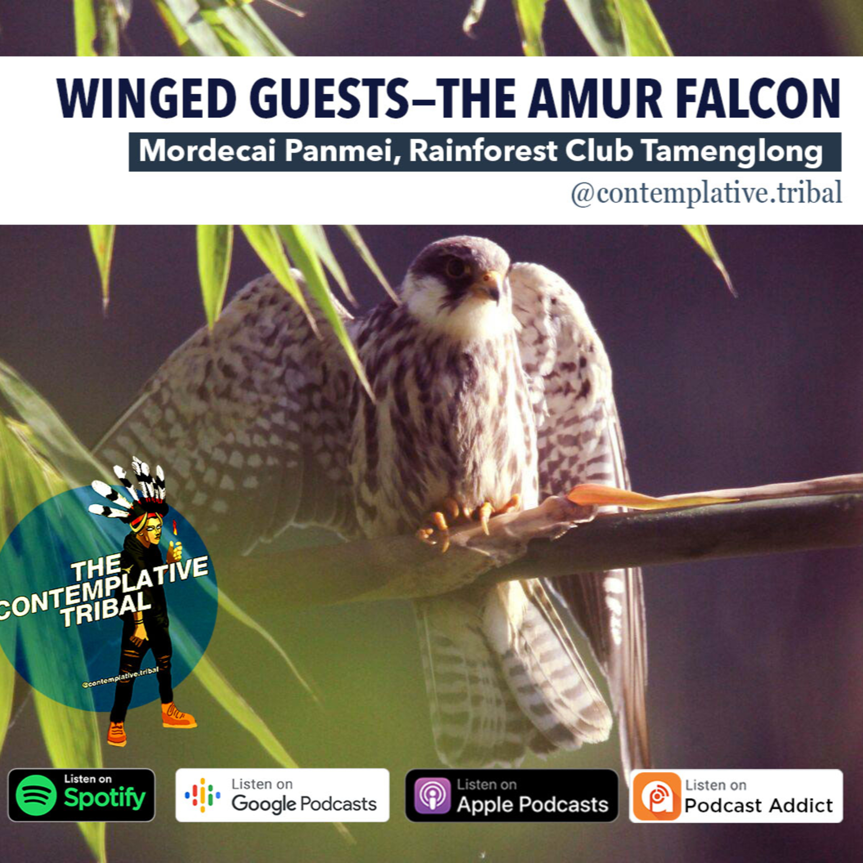 The Contemplative Tribal Podcast