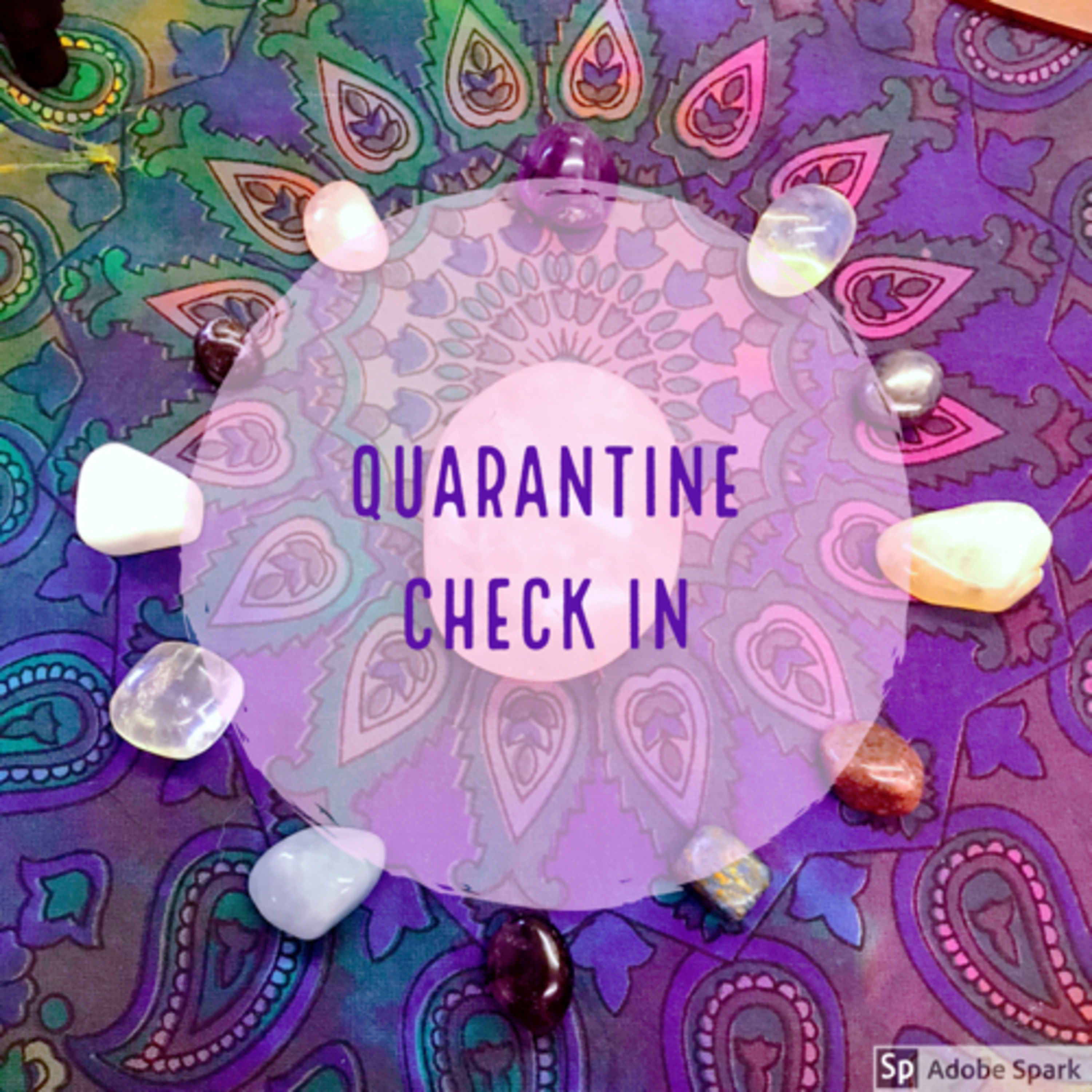 Quarantine Check in #3