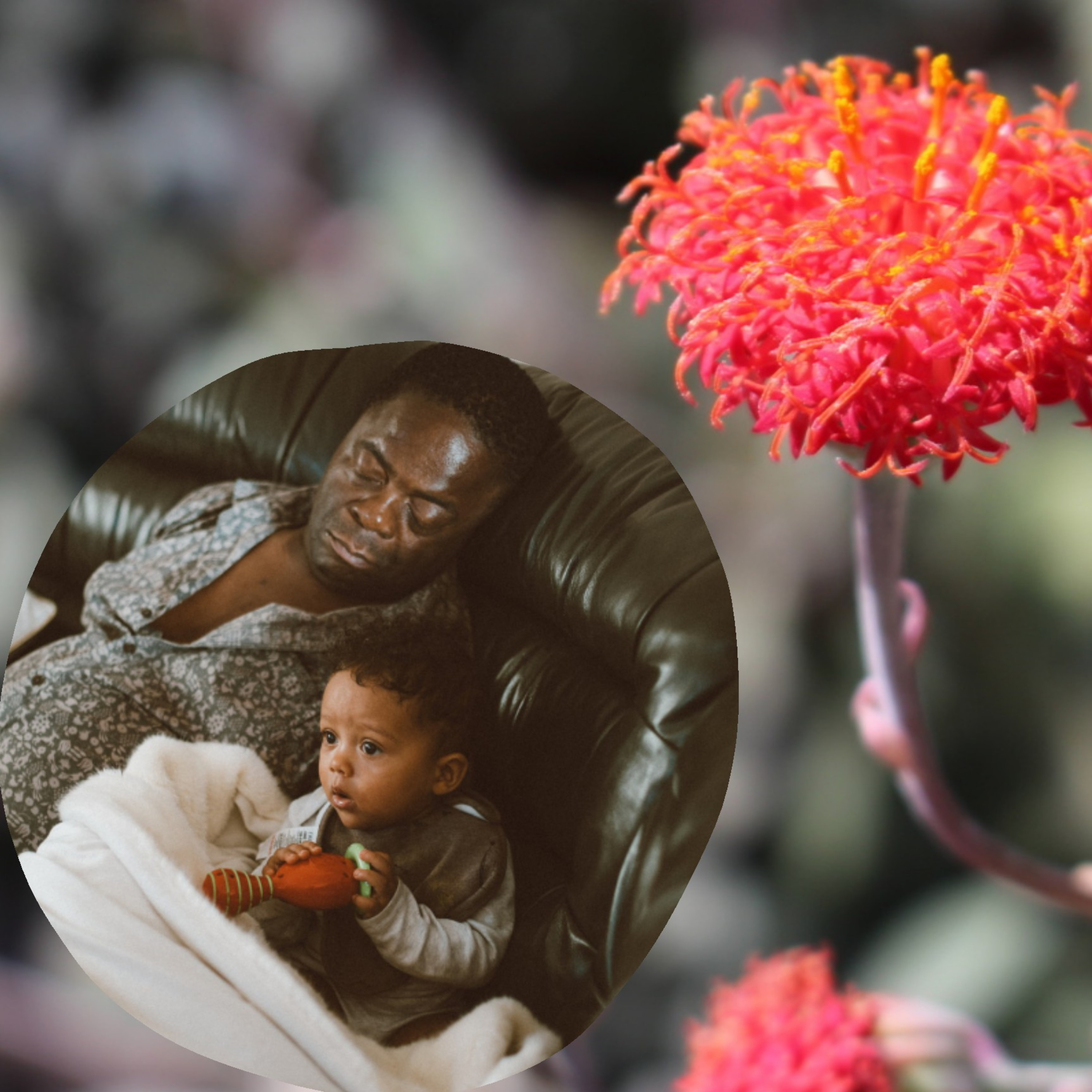 Happy Father's Day episode artwork