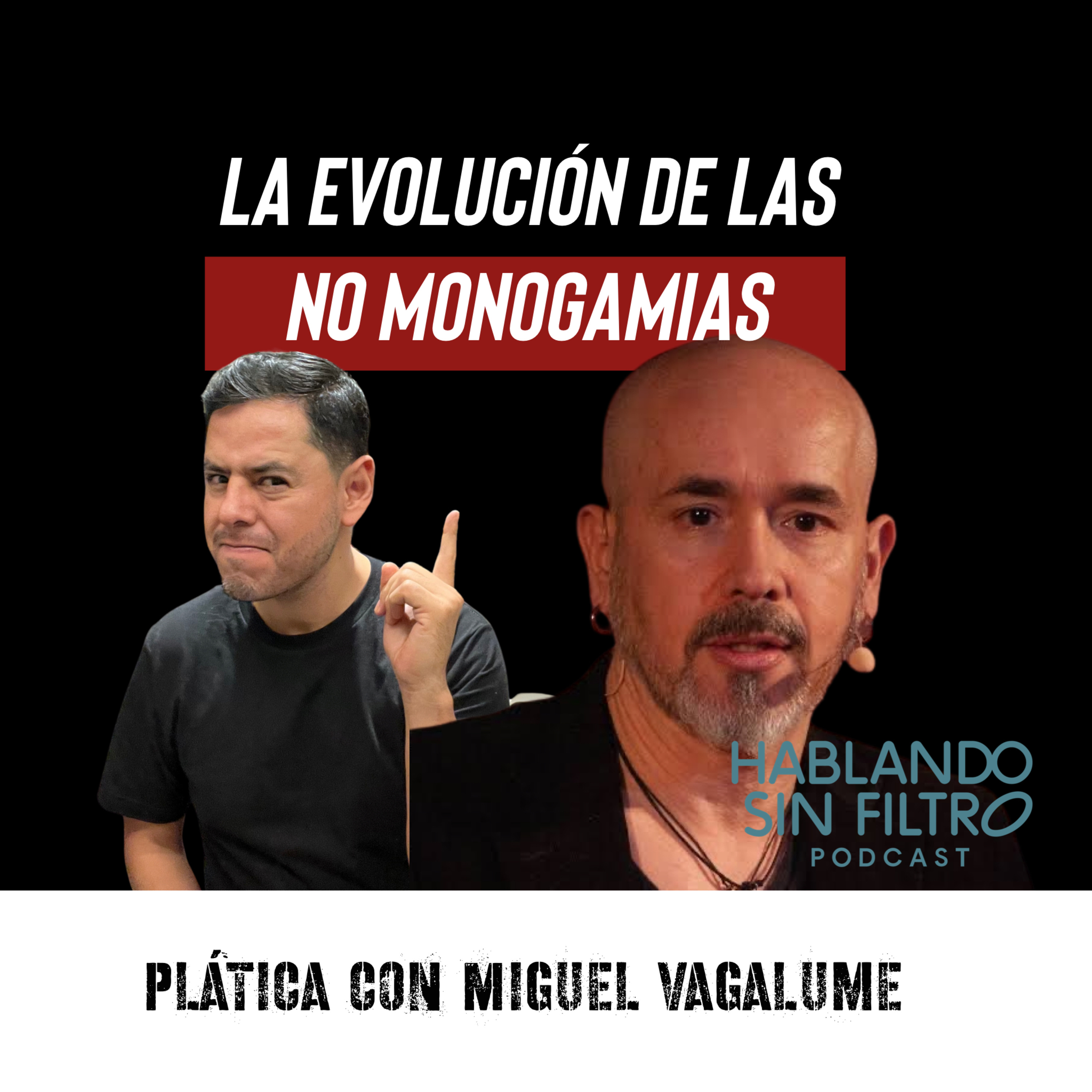 Más Allá de la Pareja Tradicional: Explorando las No Monogamias - E:156 episode artwork