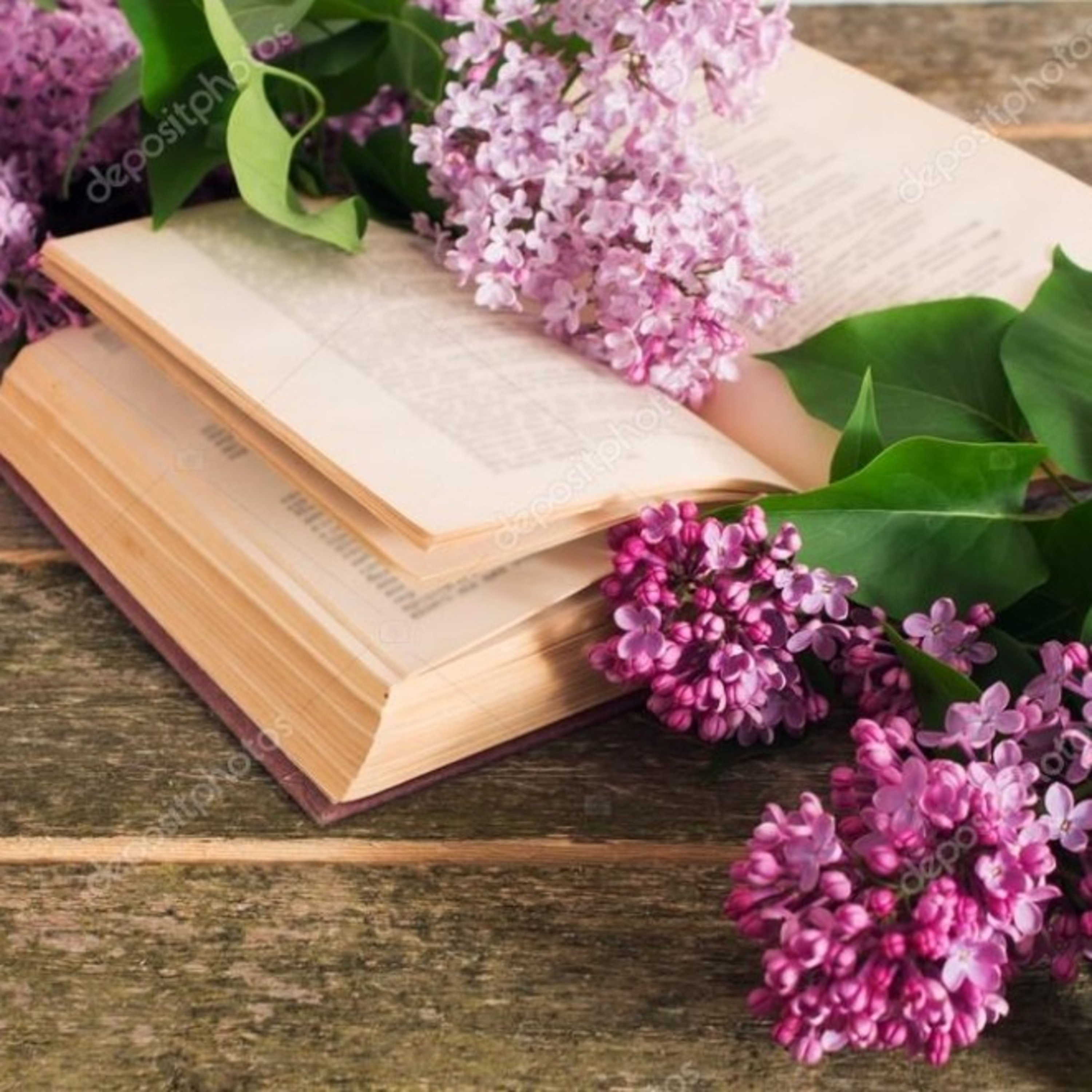 The Importance of Literacy
