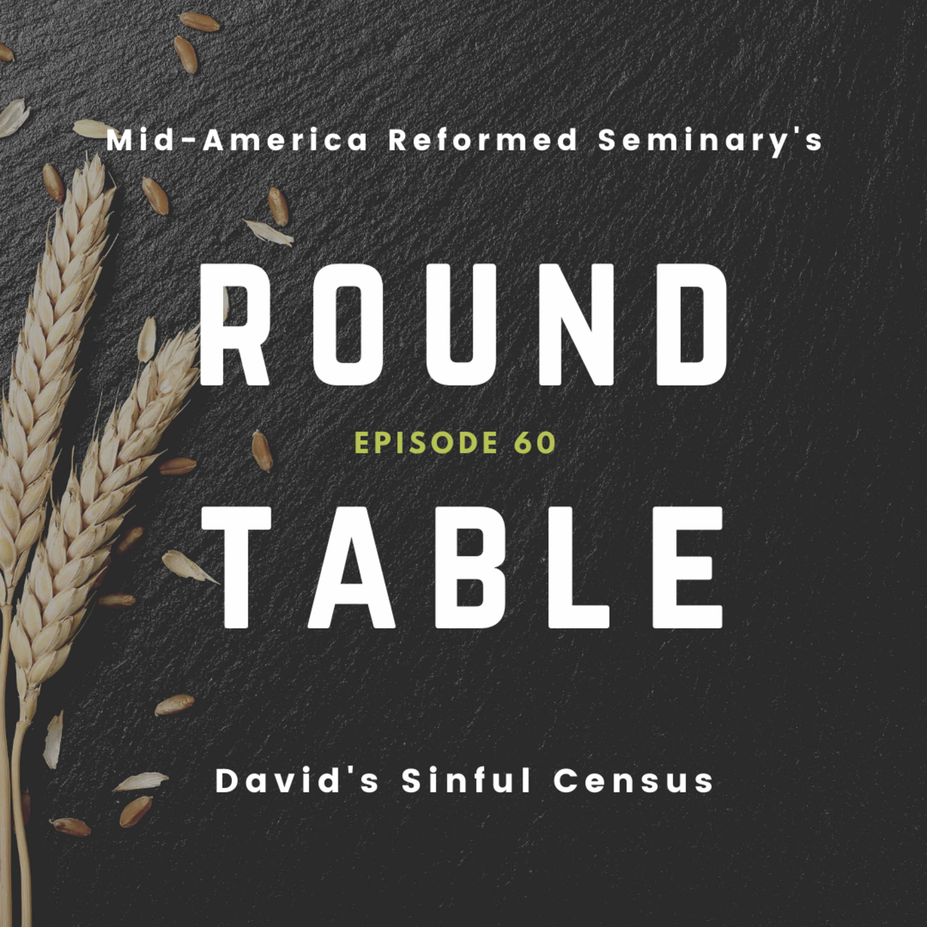 David's Sinful Census