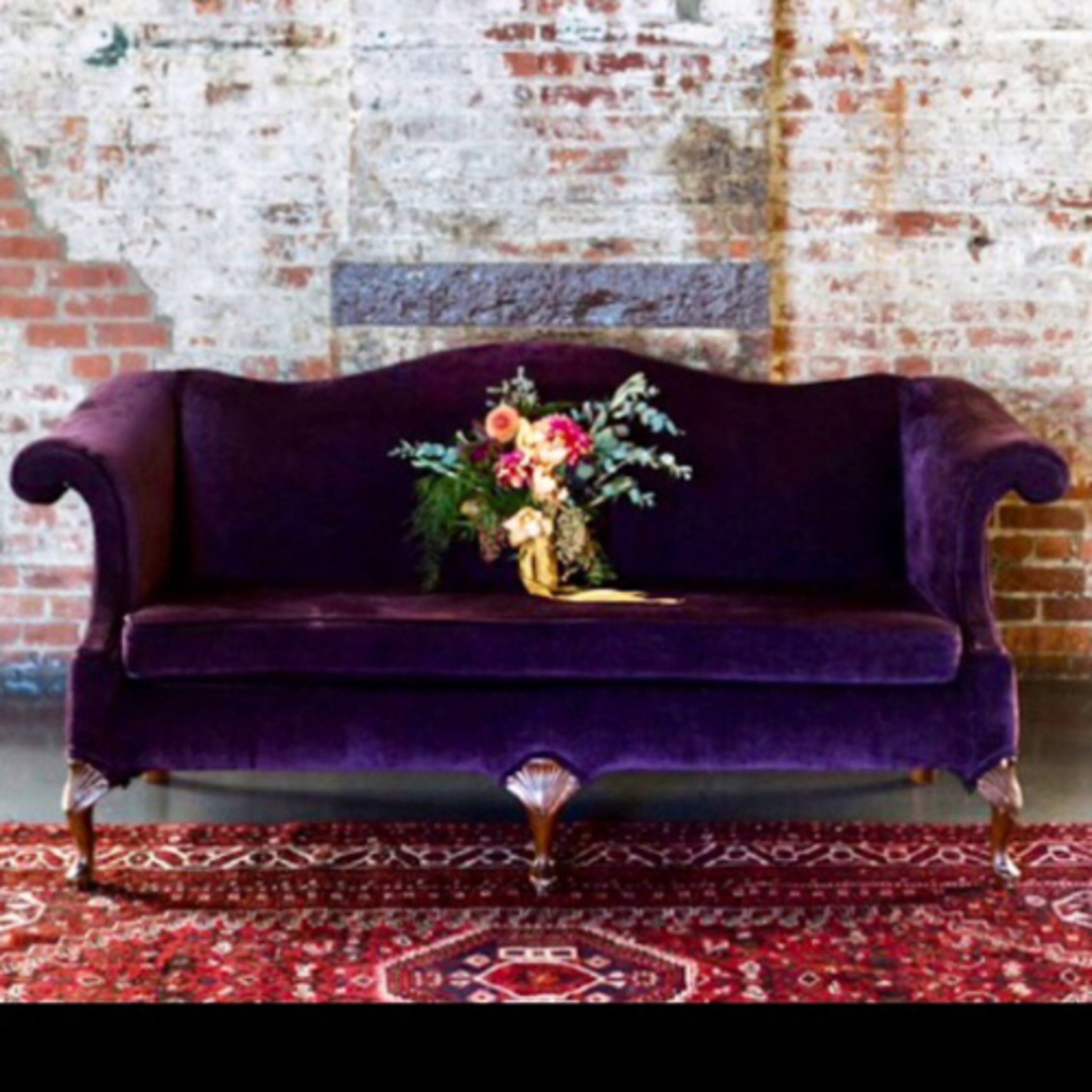 Jessina DeMarco Health and Wellness