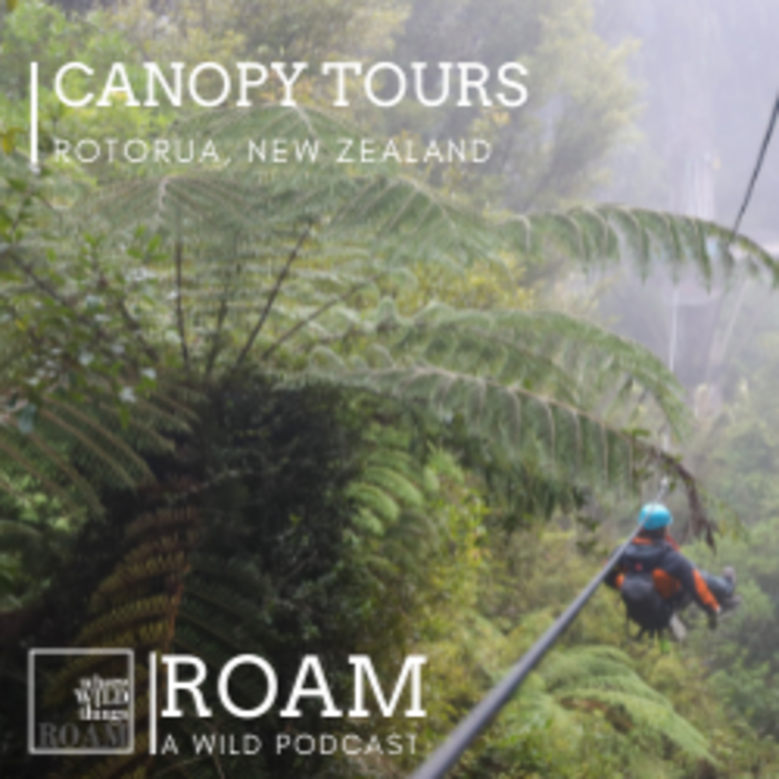 Rotorua Canopy Tours tackles conservation with tourism