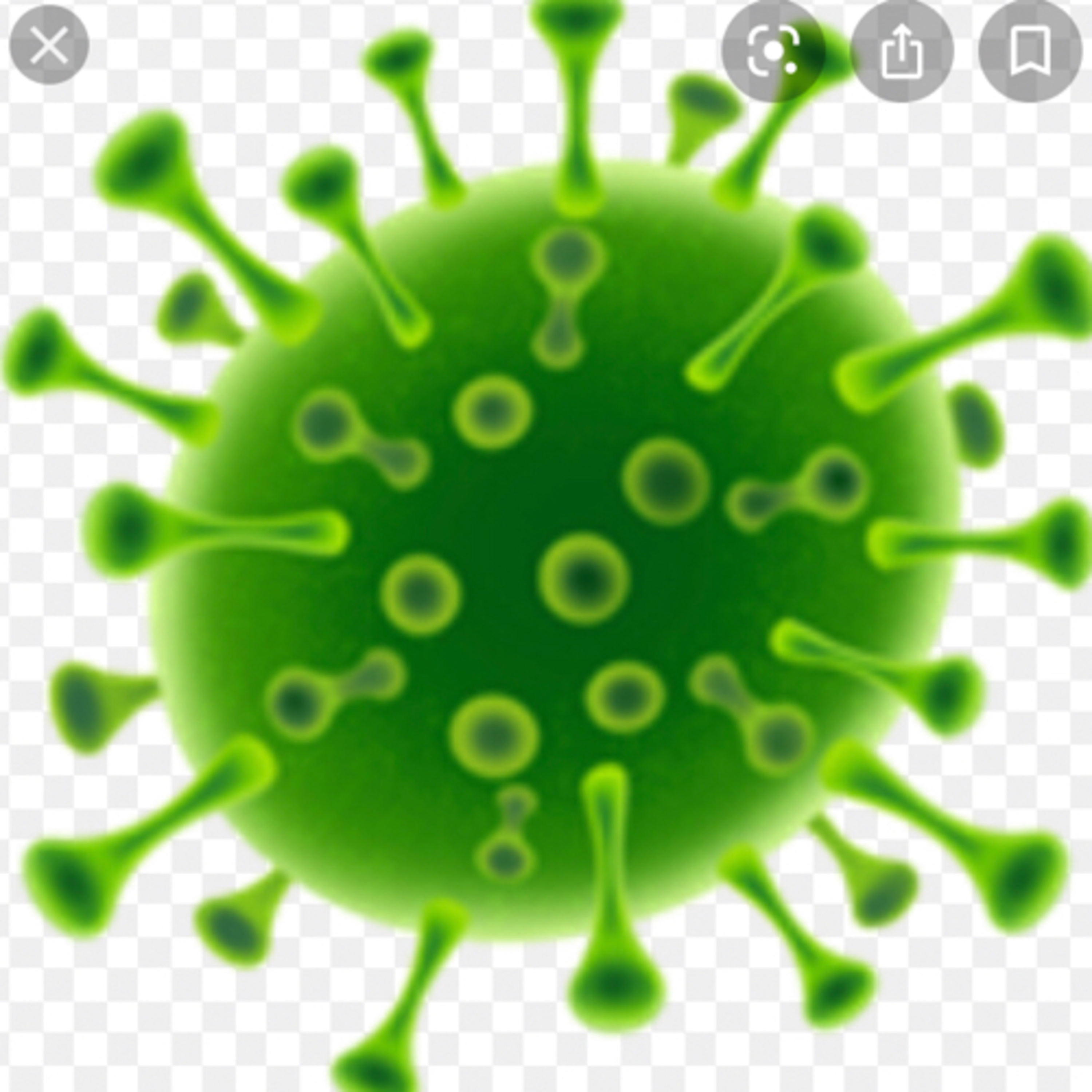 Carona, SHEIN, etc...