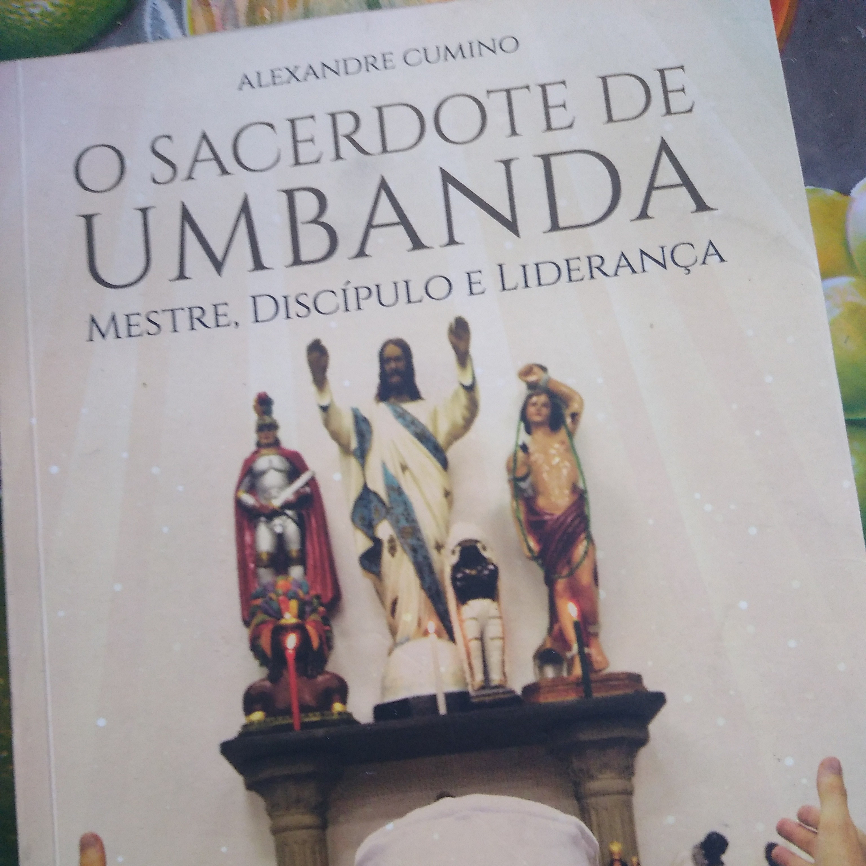 O Mestre Embriagado  episode artwork