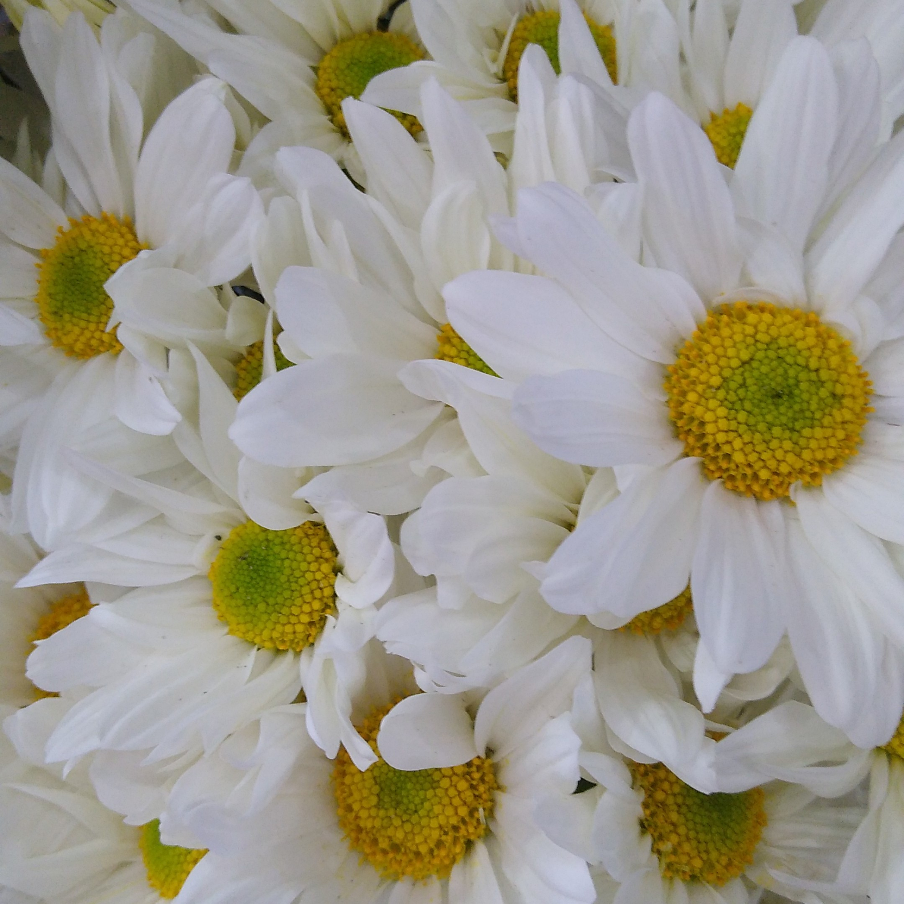 Bom Dia Nossa Umbanda Linda