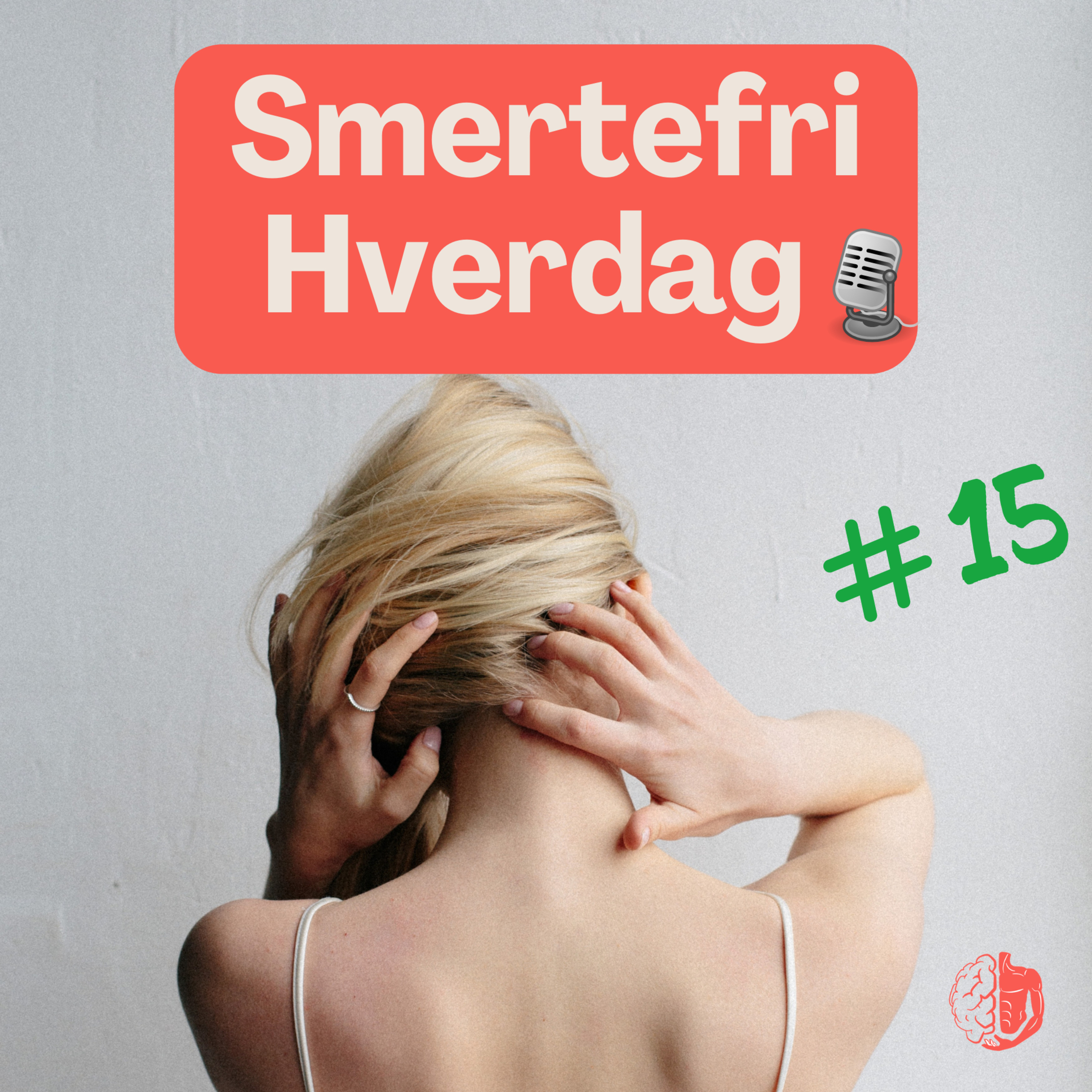 Smertefri hverdag - fysioterapeutens tips og tricks!