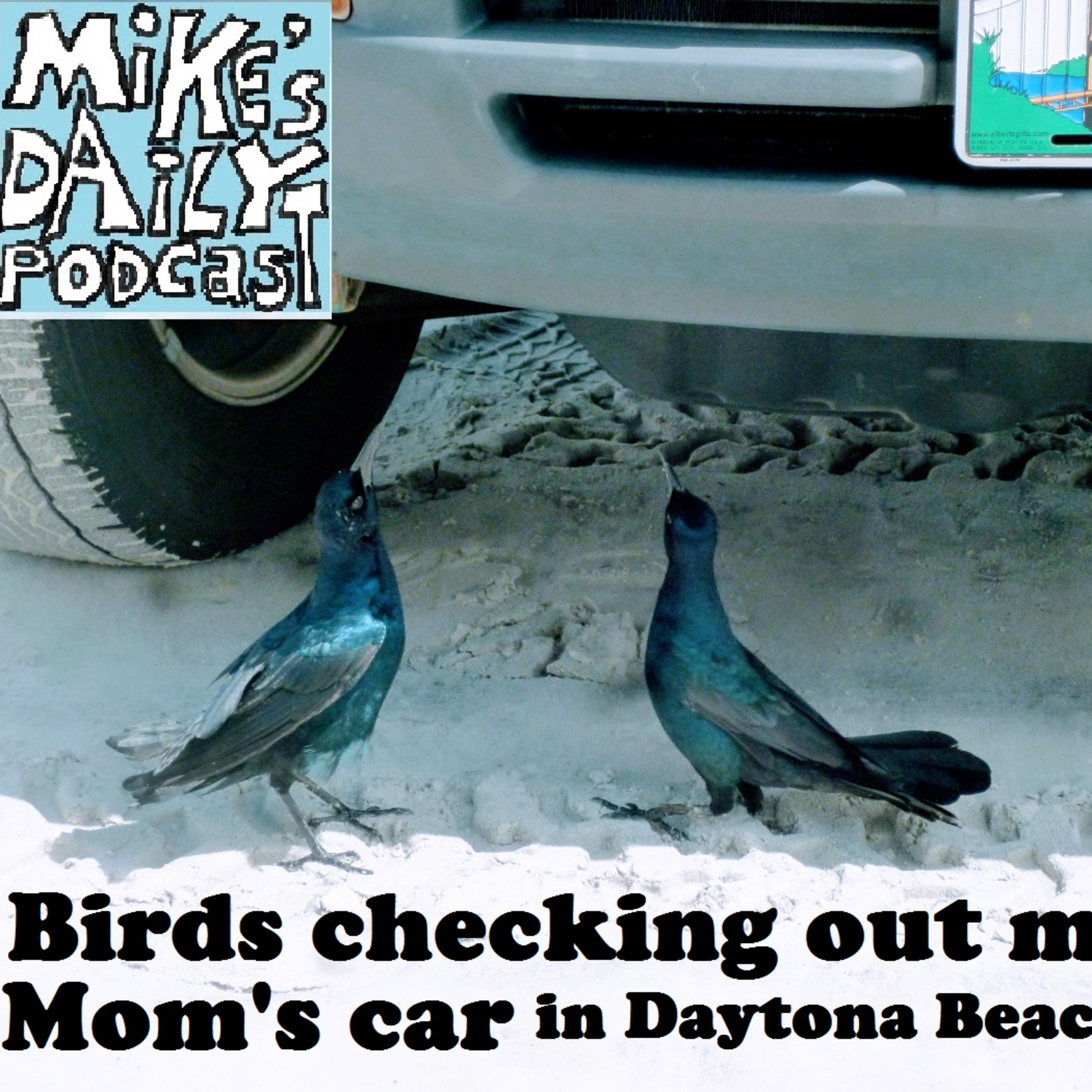 Mike\'s Daily Podcast