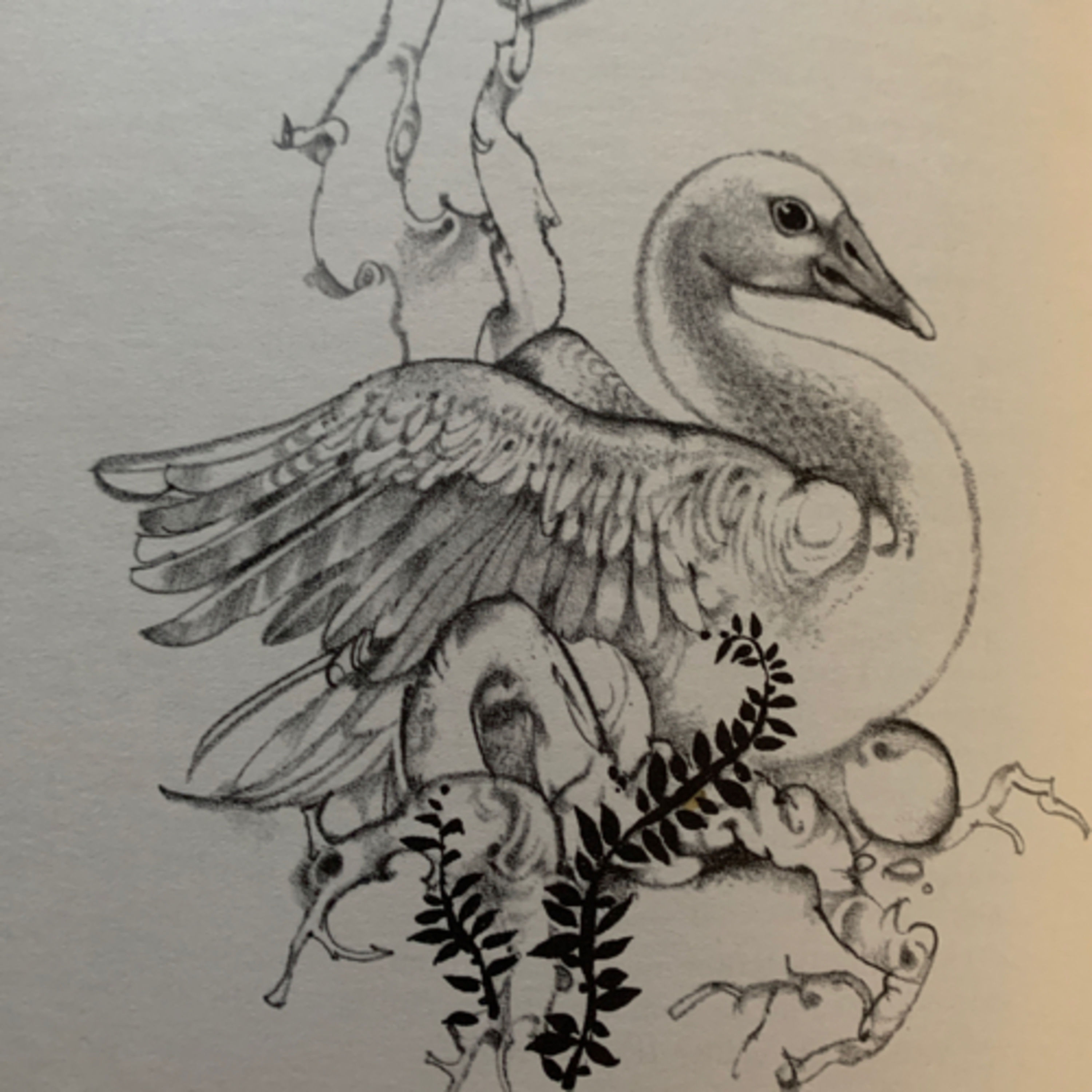 Episode 19 - The Golden Goose episode artwork