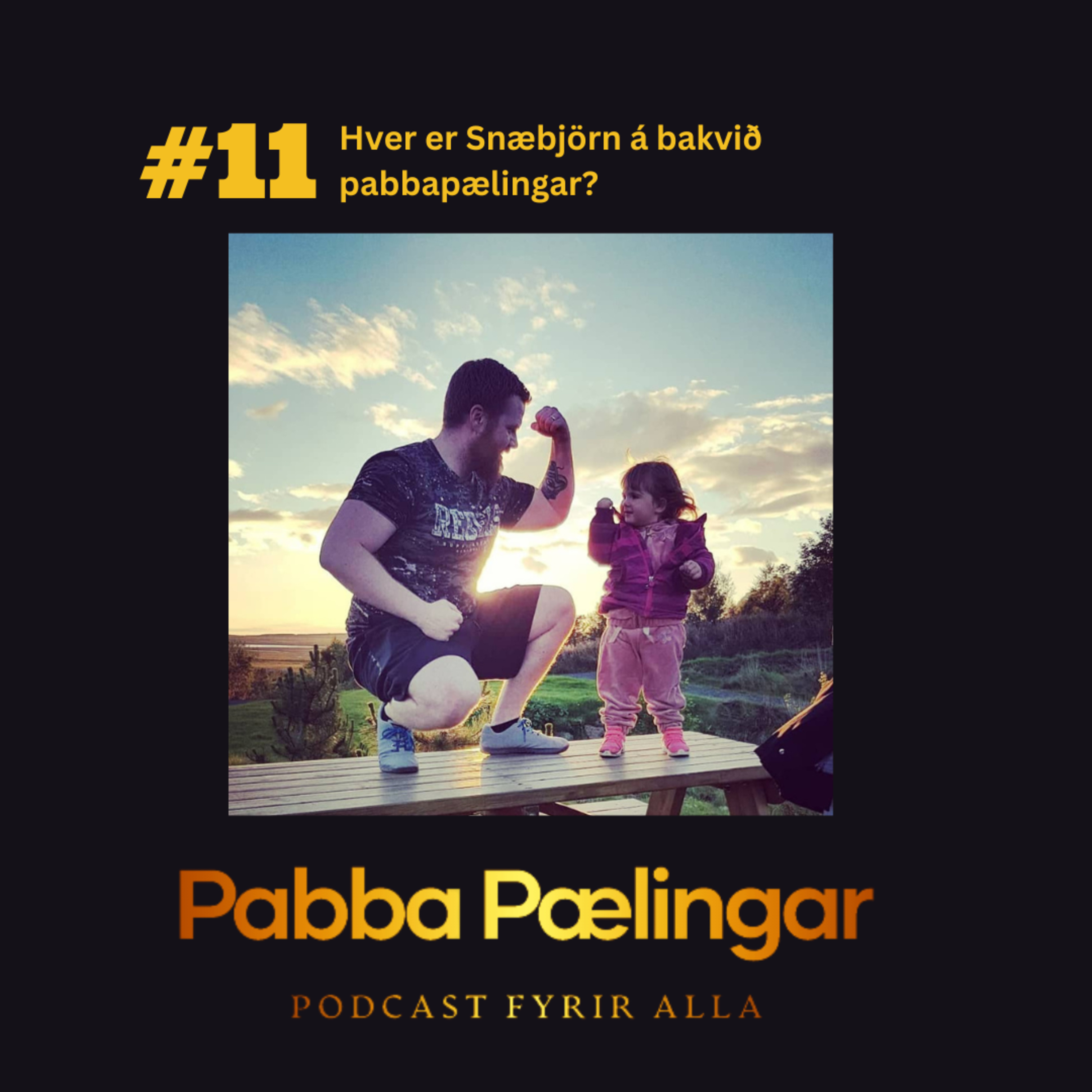 PabbaPælingar