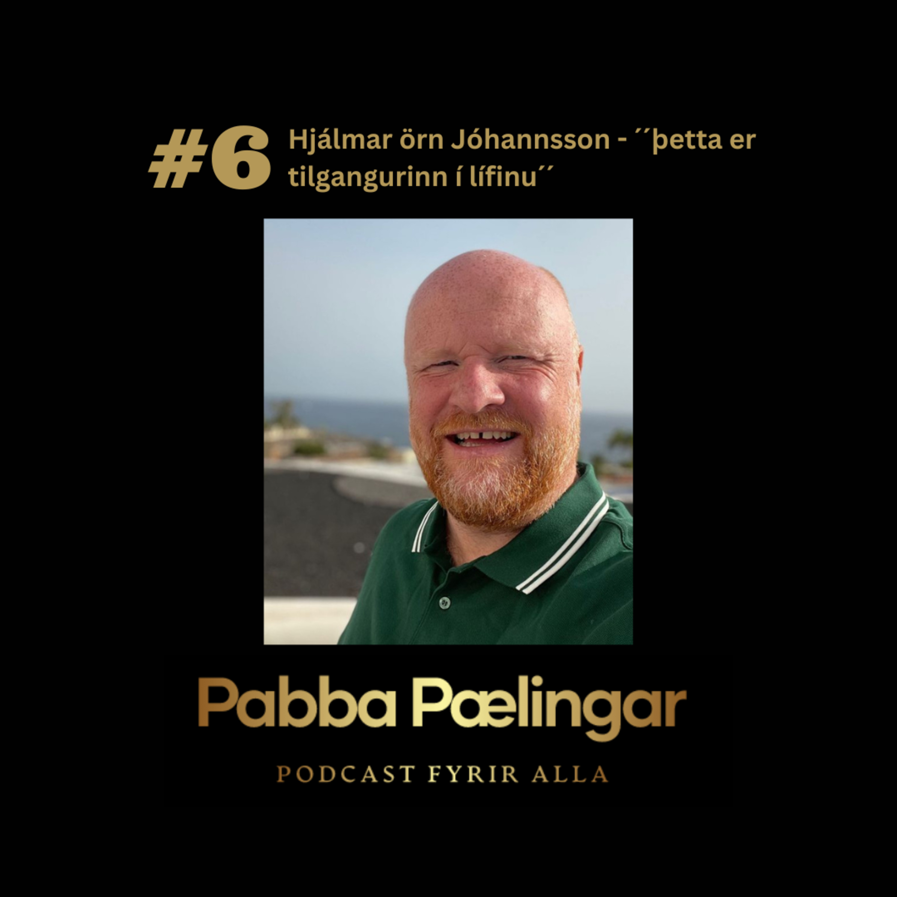 PabbaPælingar