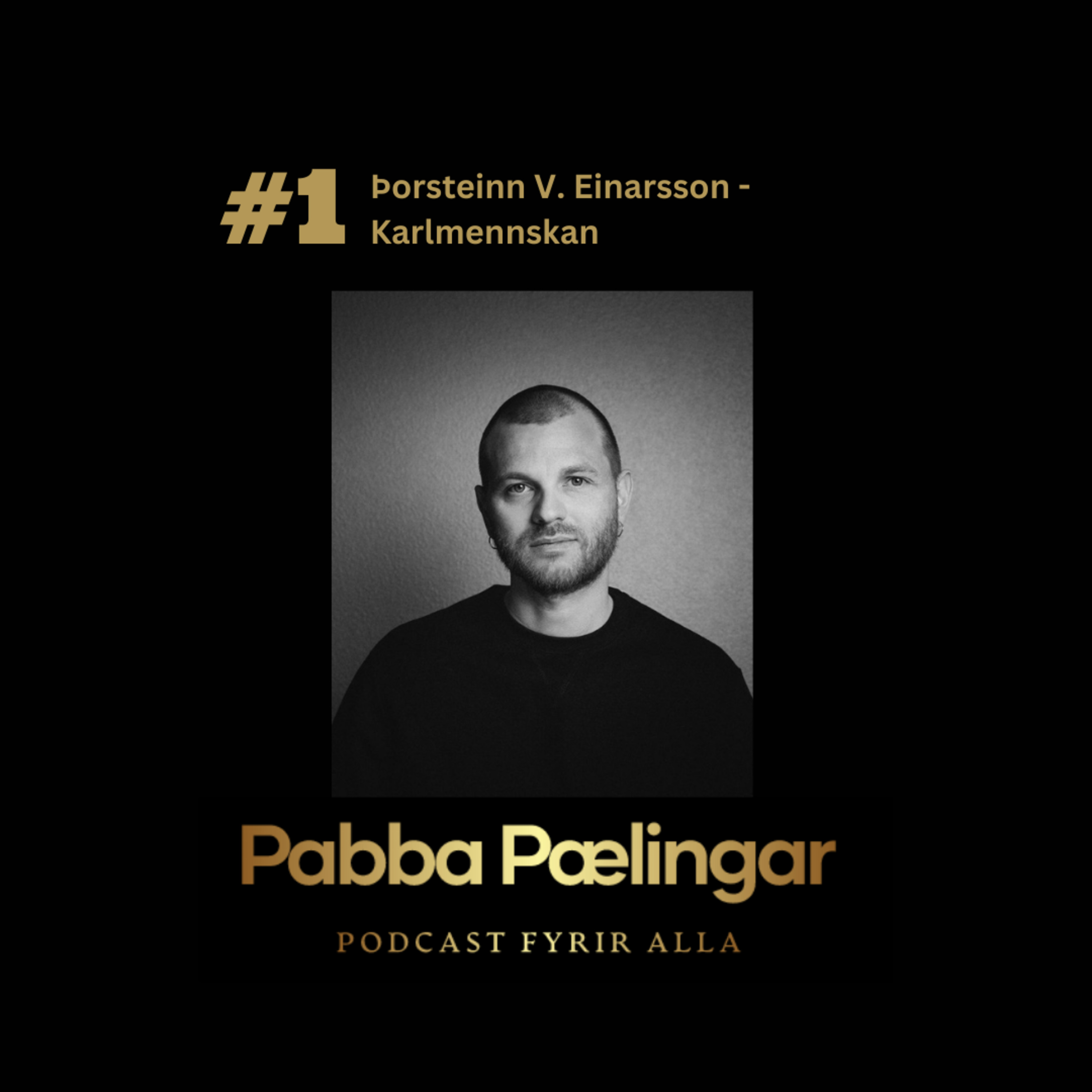 PabbaPælingar