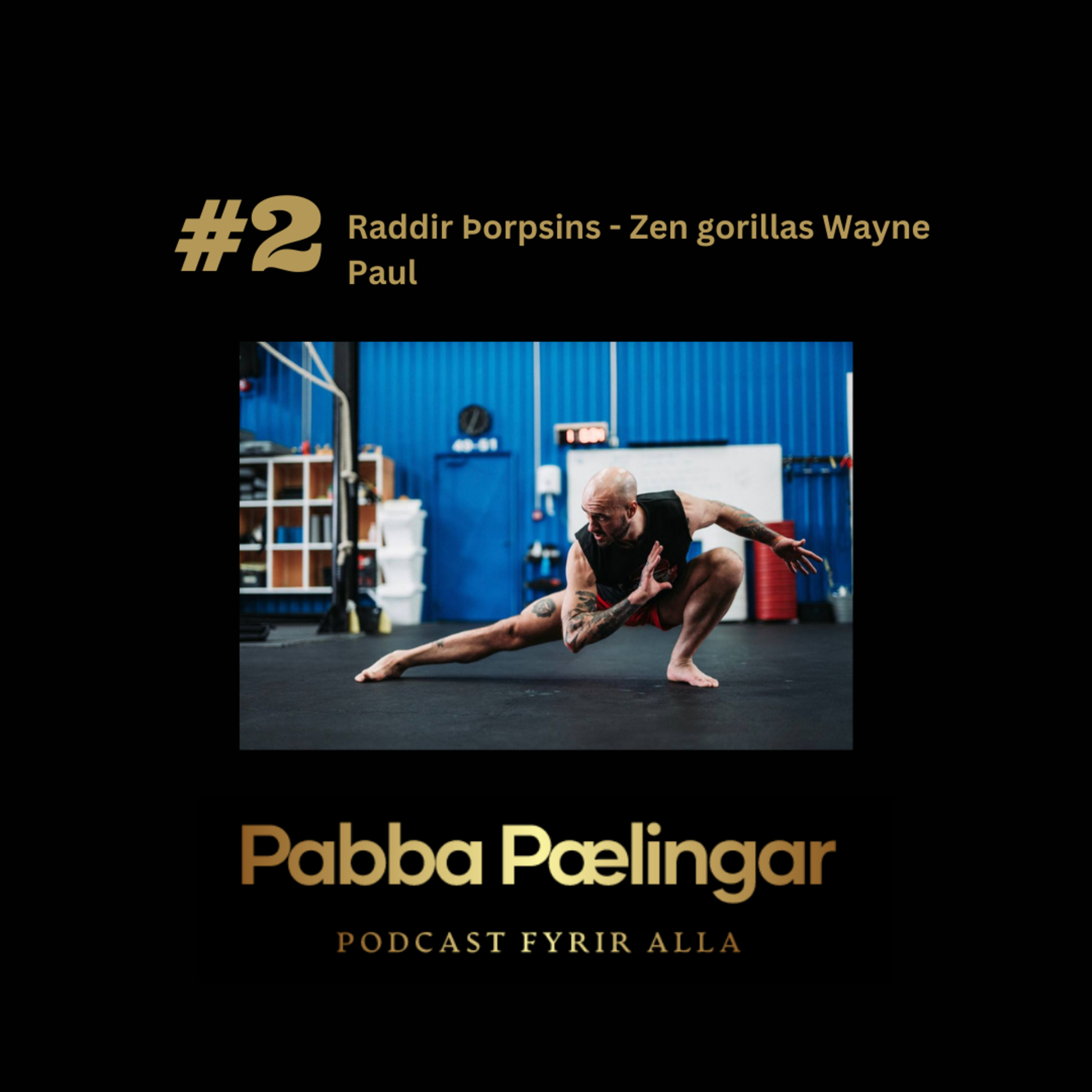PabbaPælingar