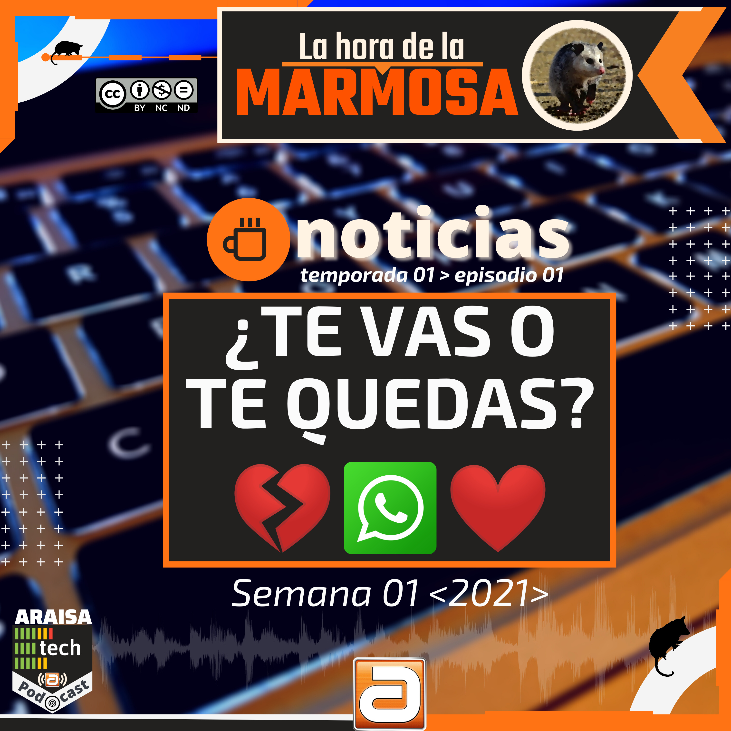 ARAISAtech Podcast
