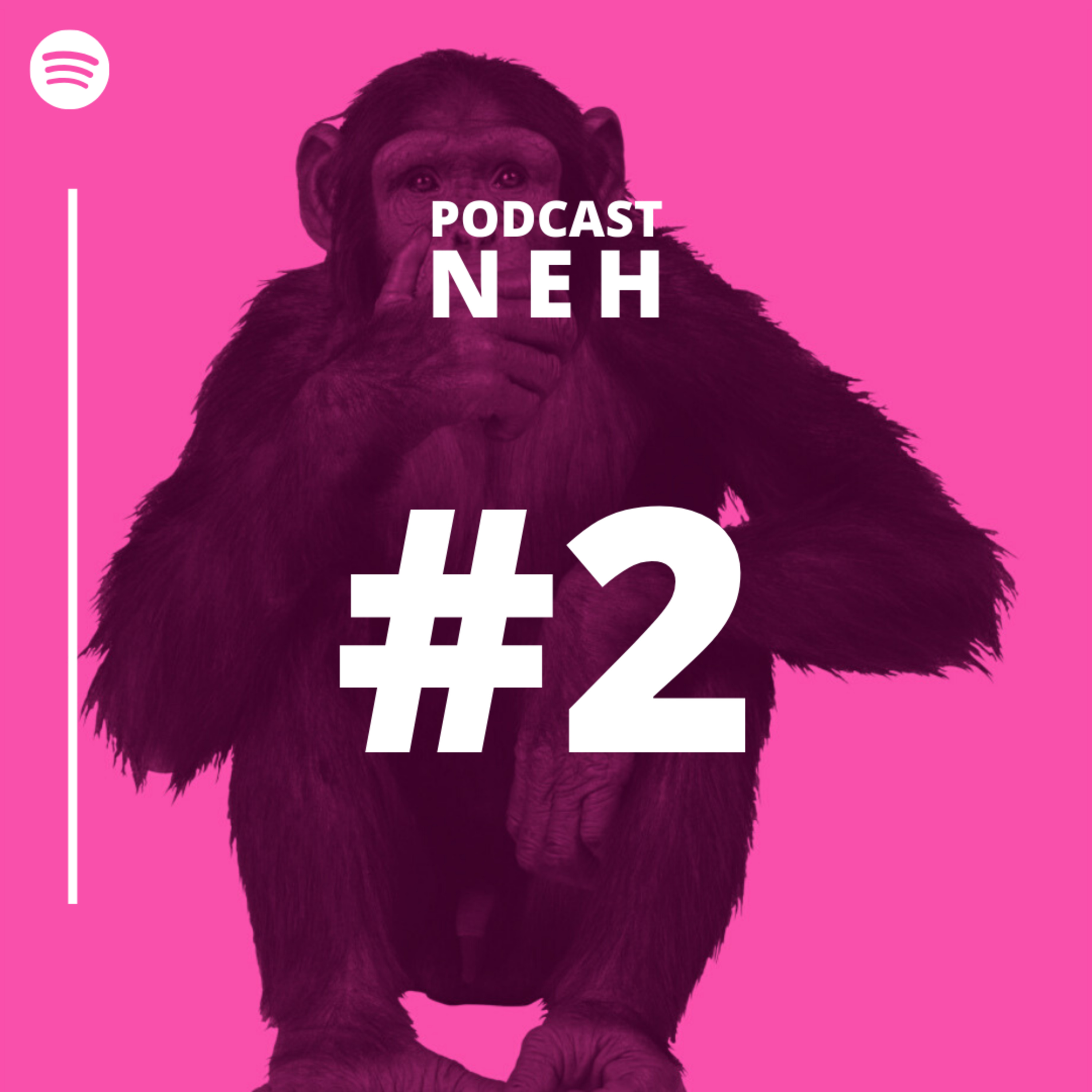 Podcast NEH