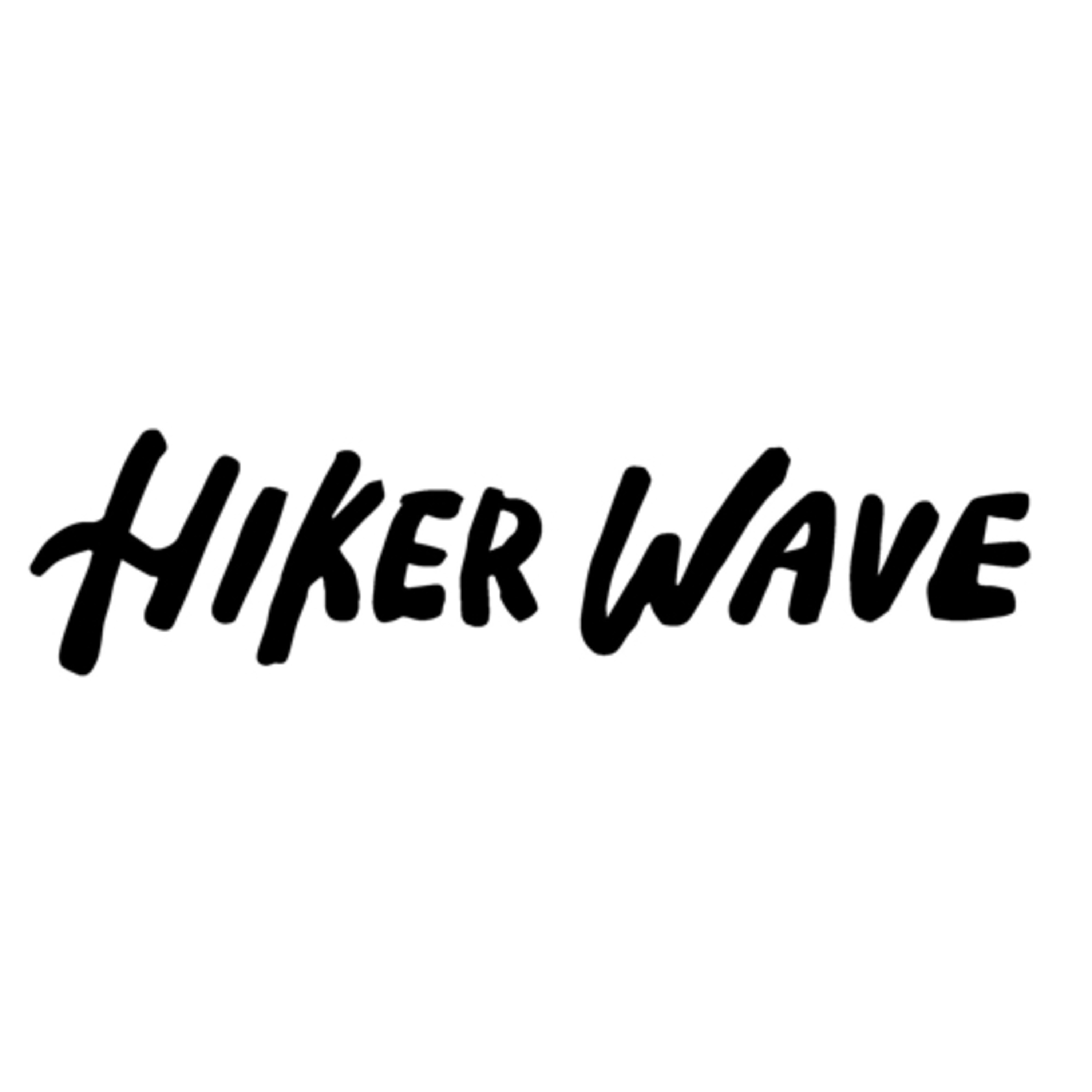 【HIKER WAVE】ピンチは本当にチャンスなのか？〜HIKE WAVE を襲った悲劇〜