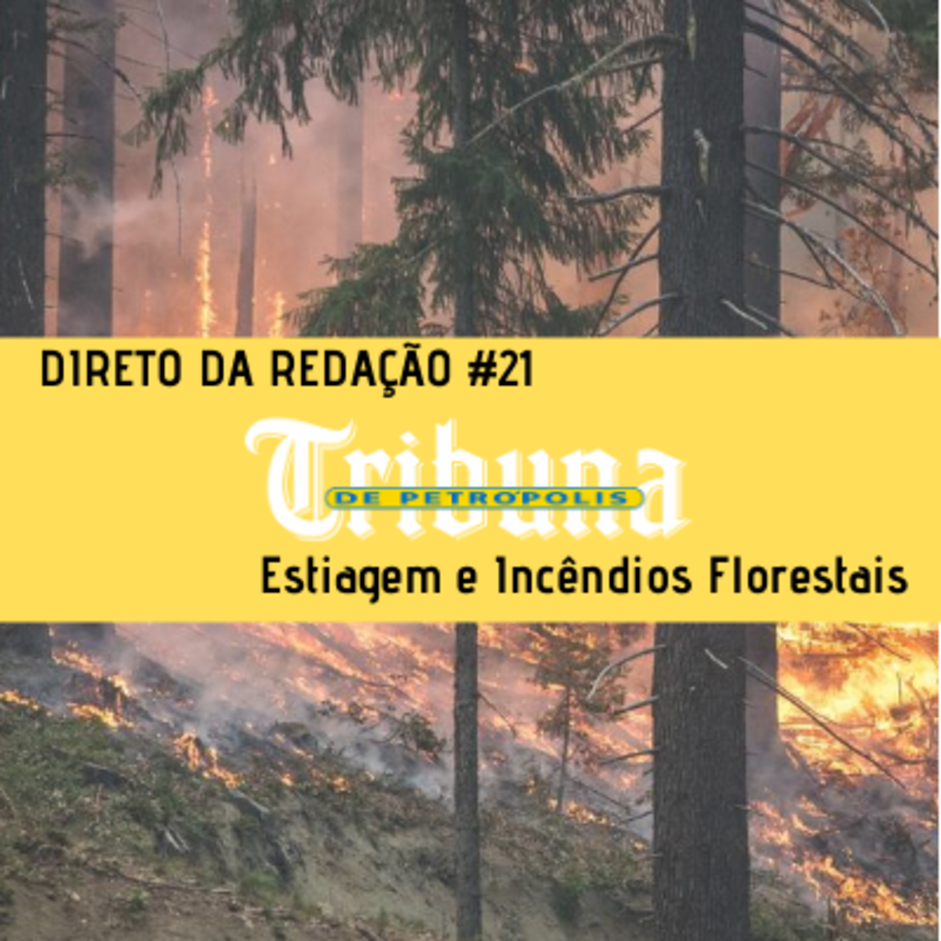 Tribuna de Petrópolis - Podcasts