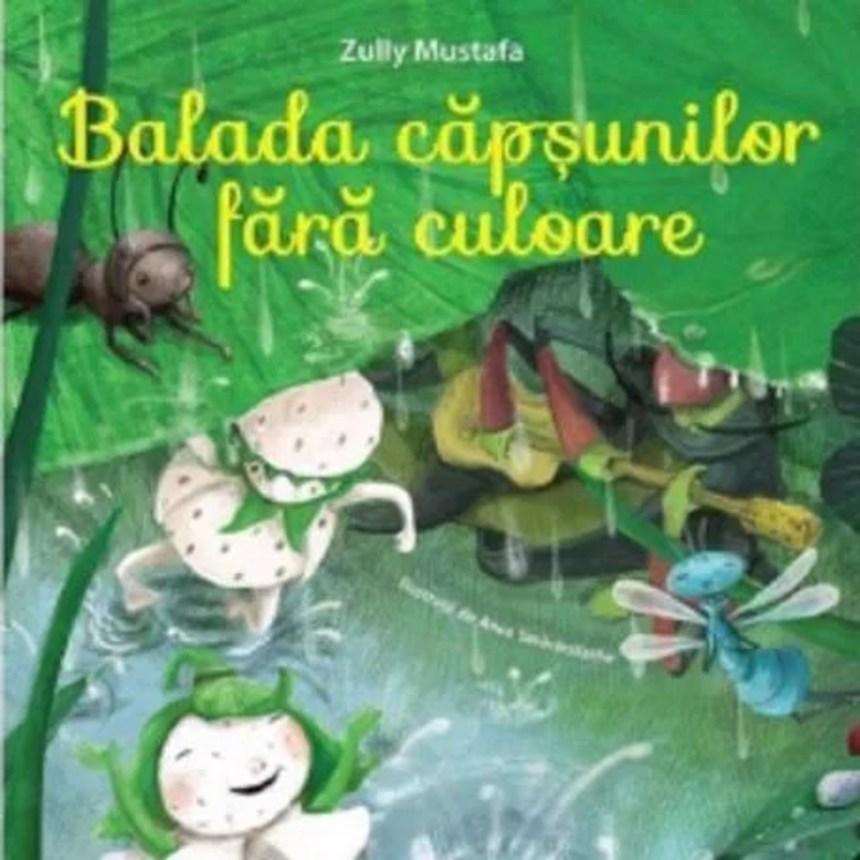 Cufărul cu povești