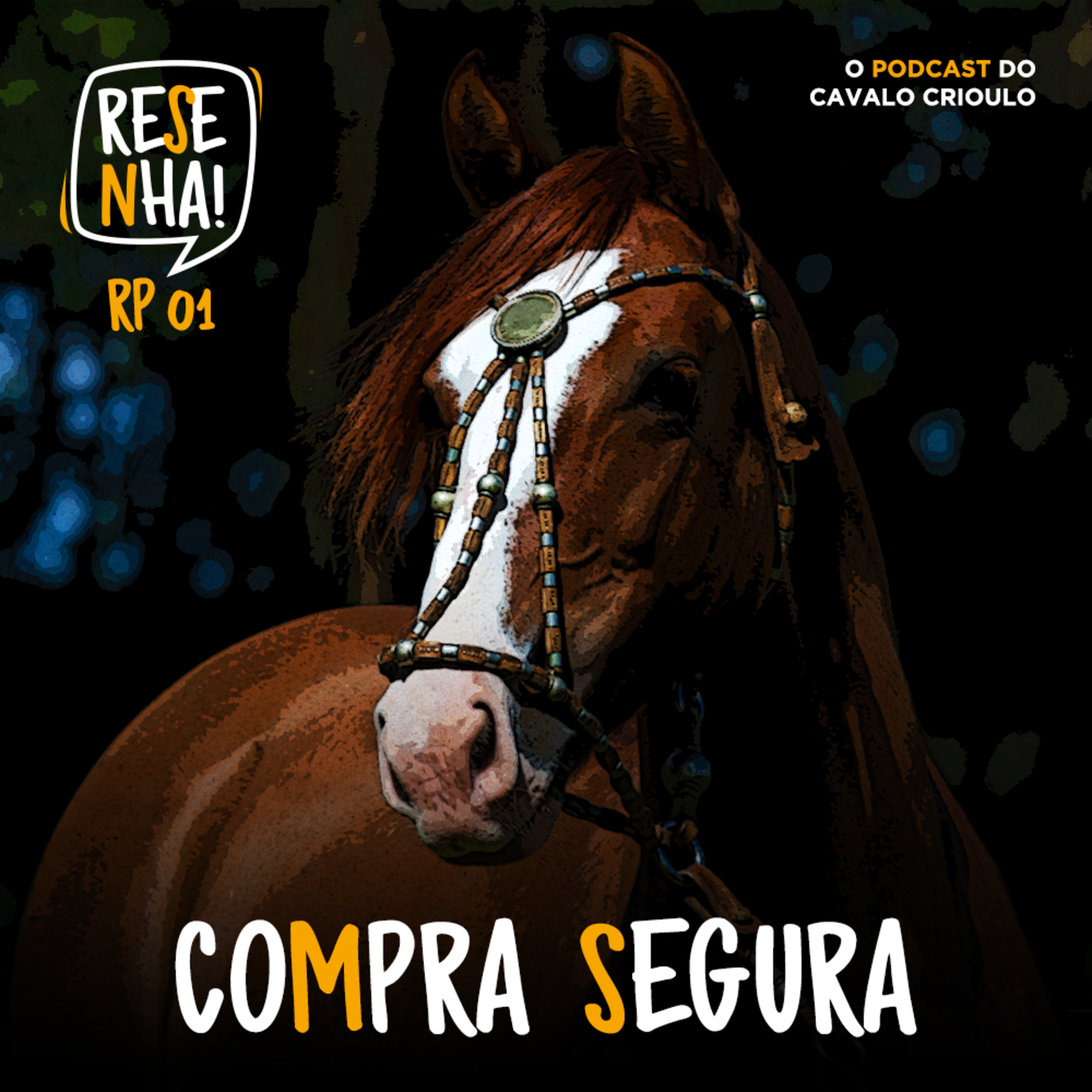 Cavalo Crioulo Oficial
