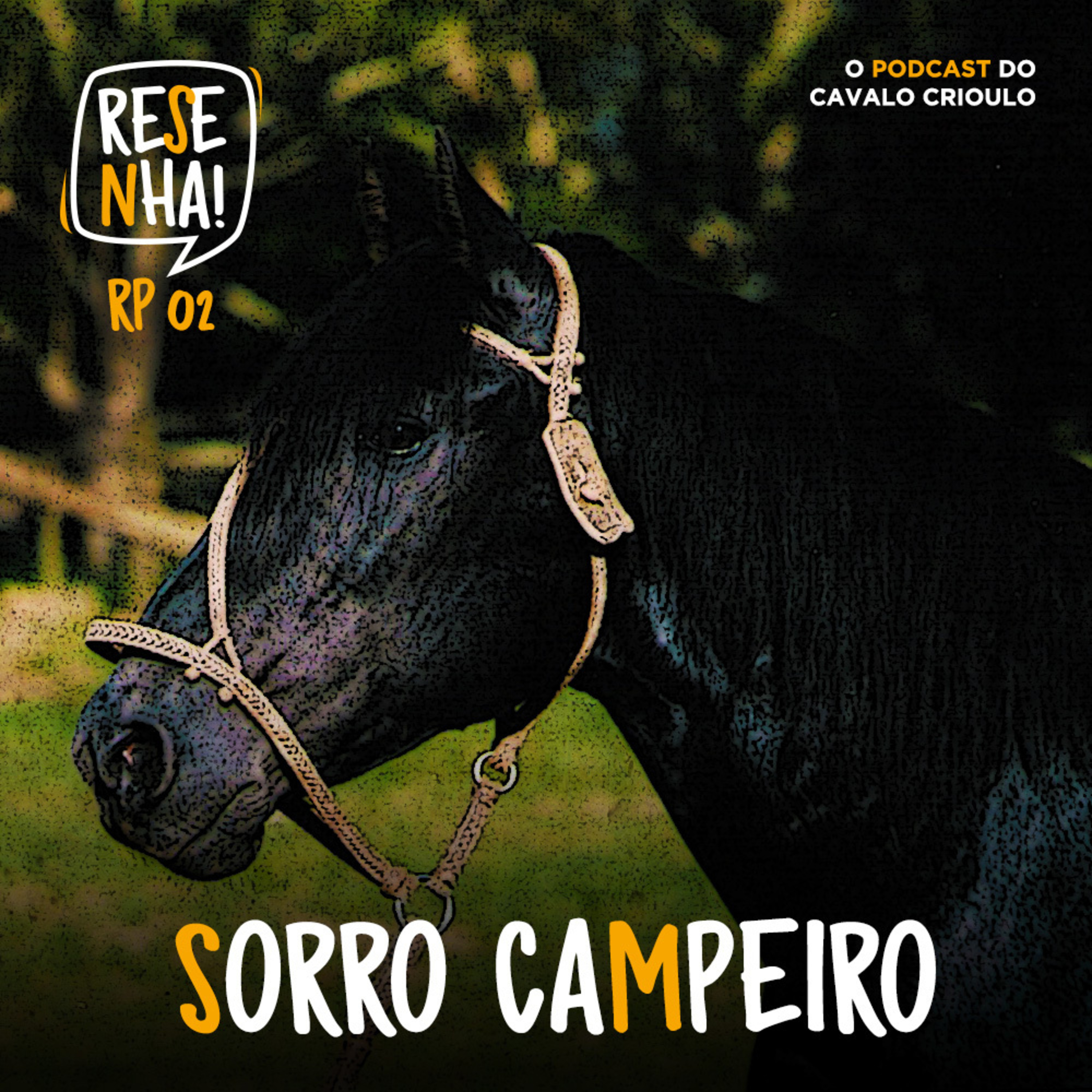 Cavalo Crioulo Oficial