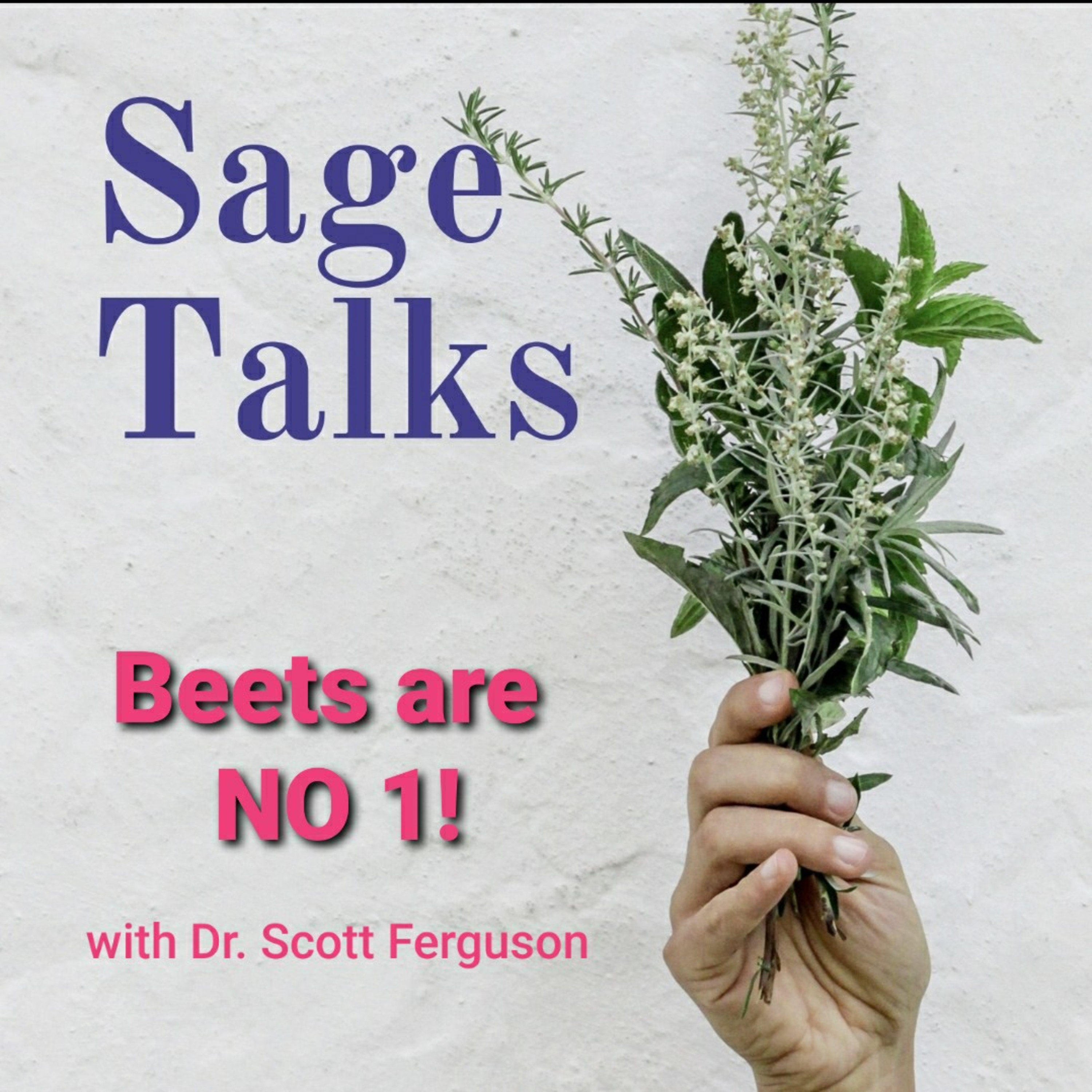 Sage Talks