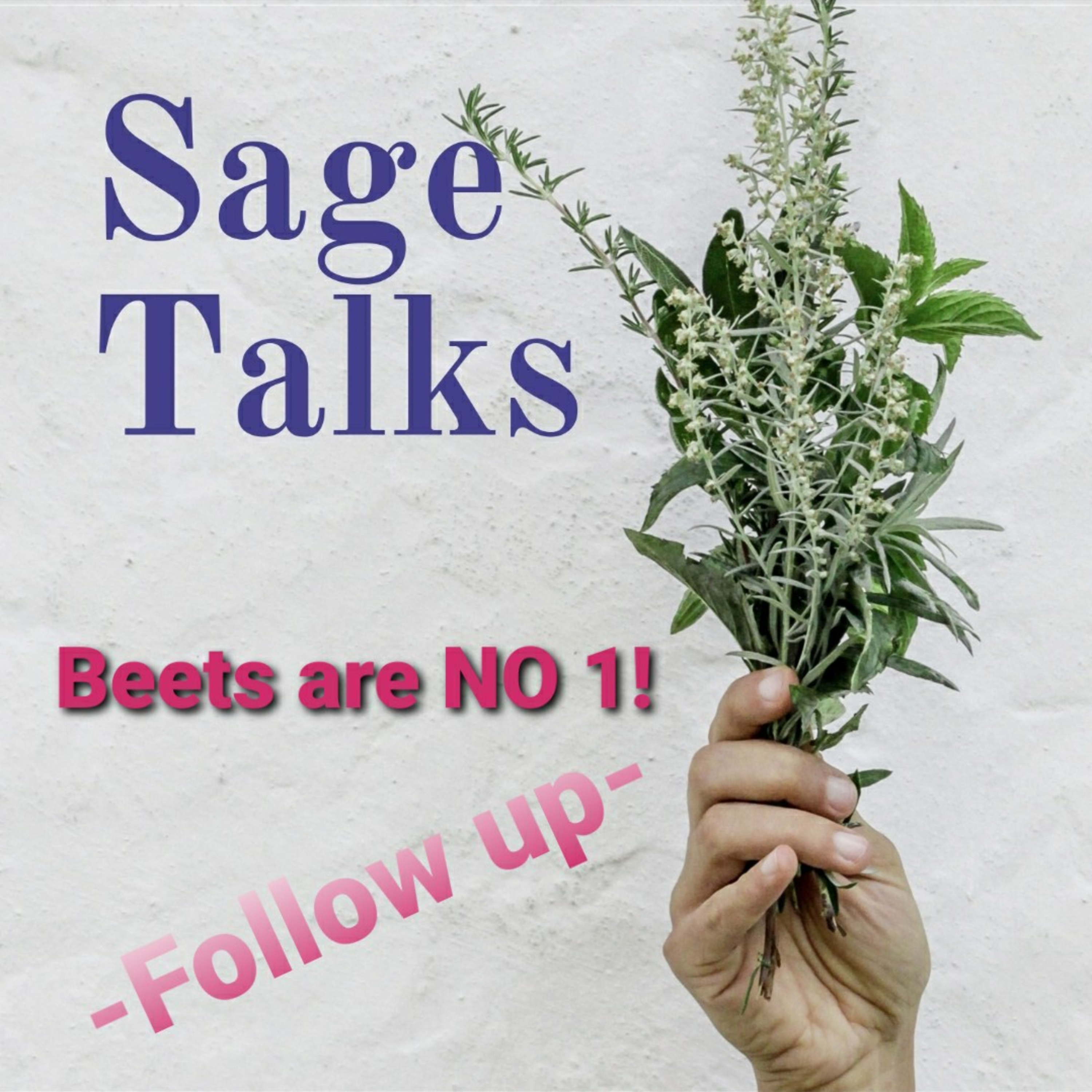 Sage Talks