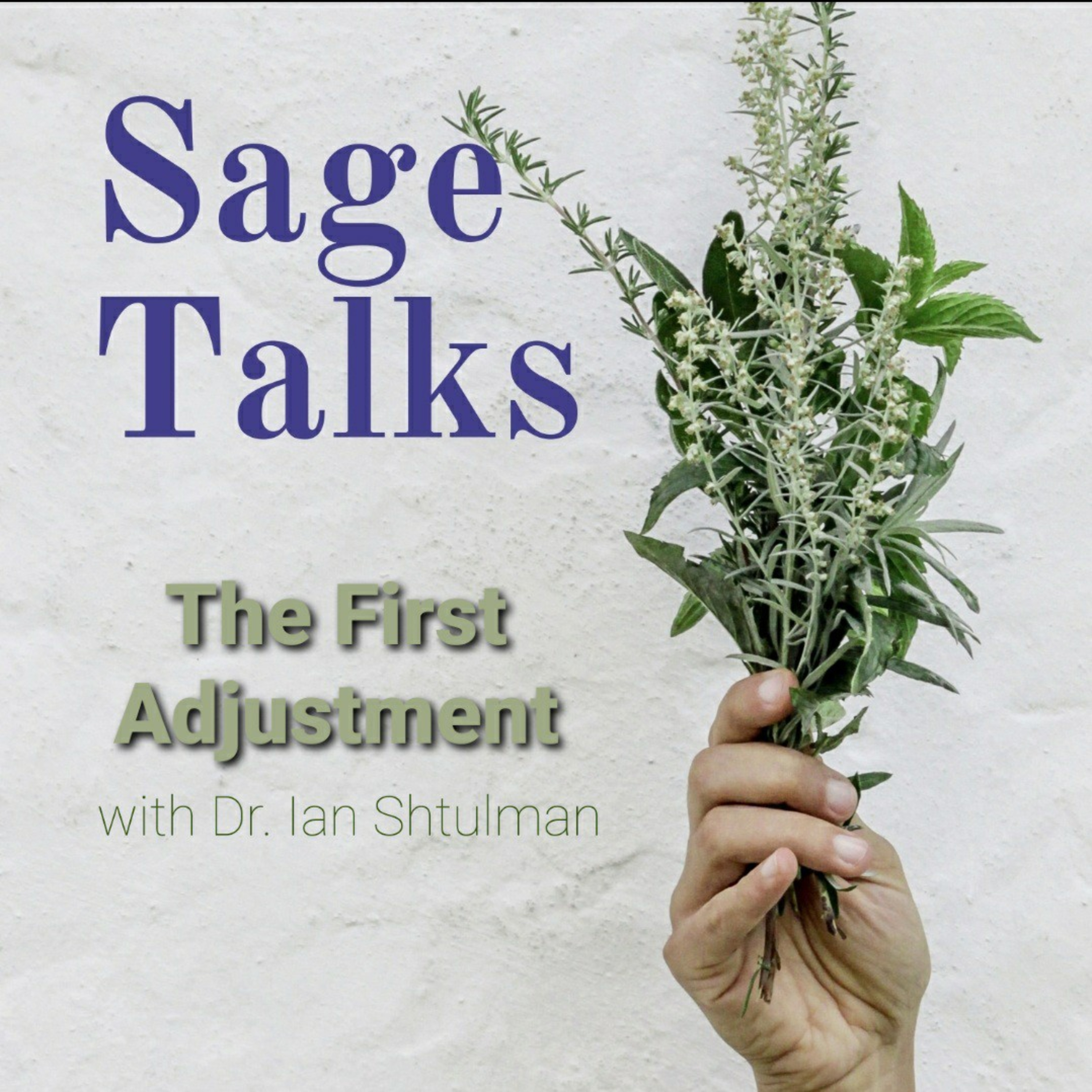 Sage Talks