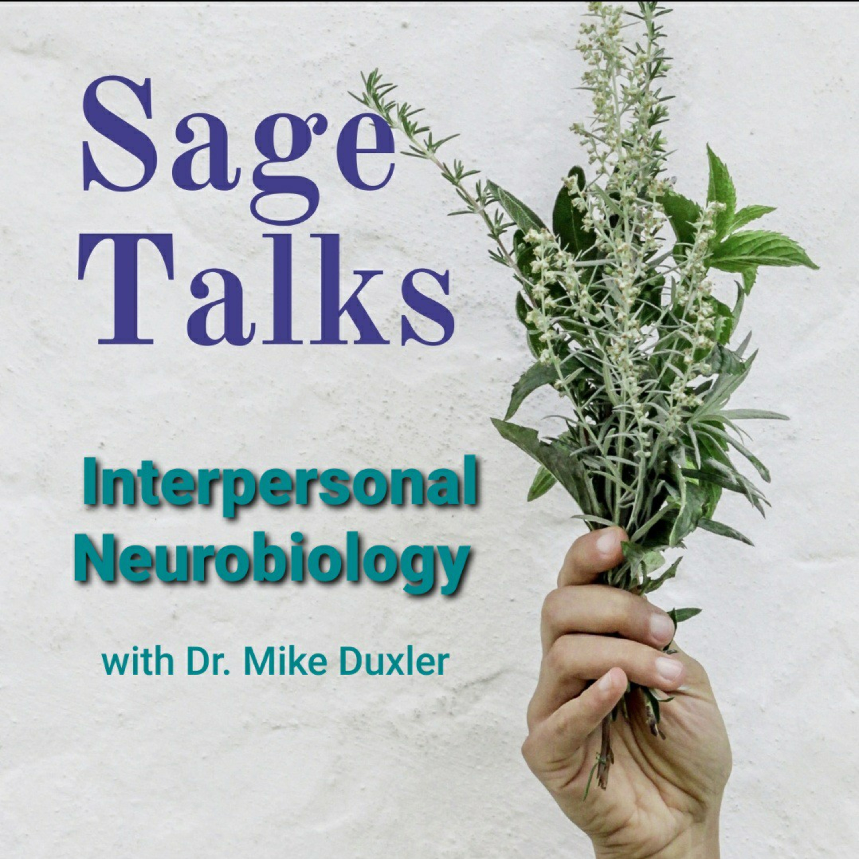Sage Talks