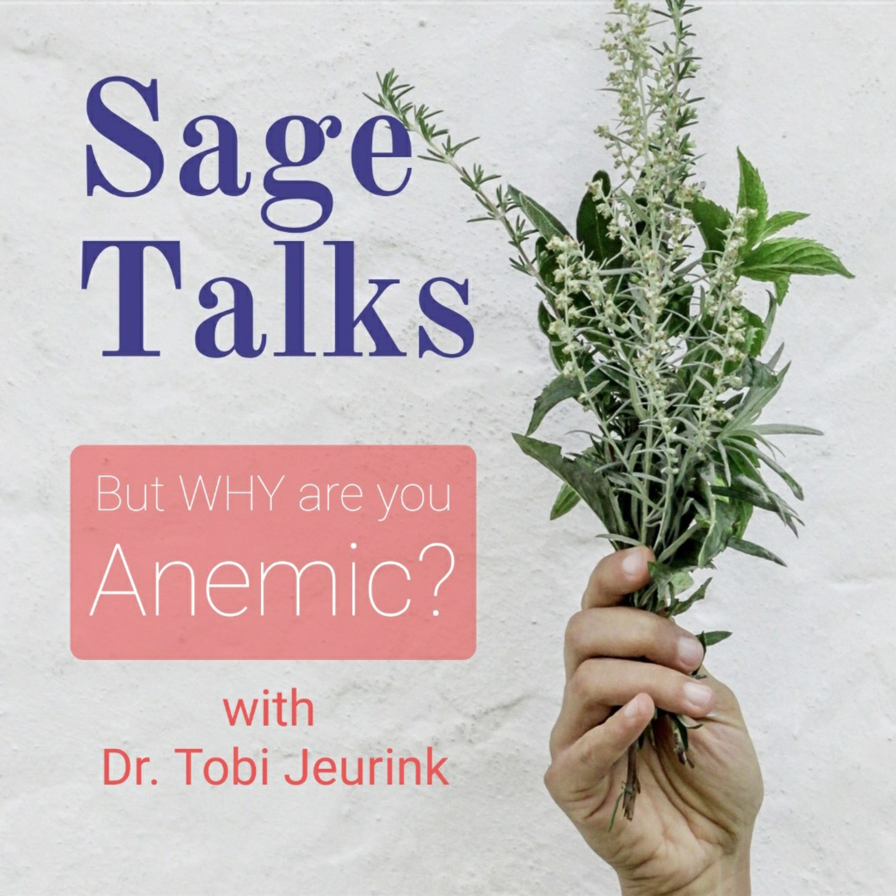 Sage Talks